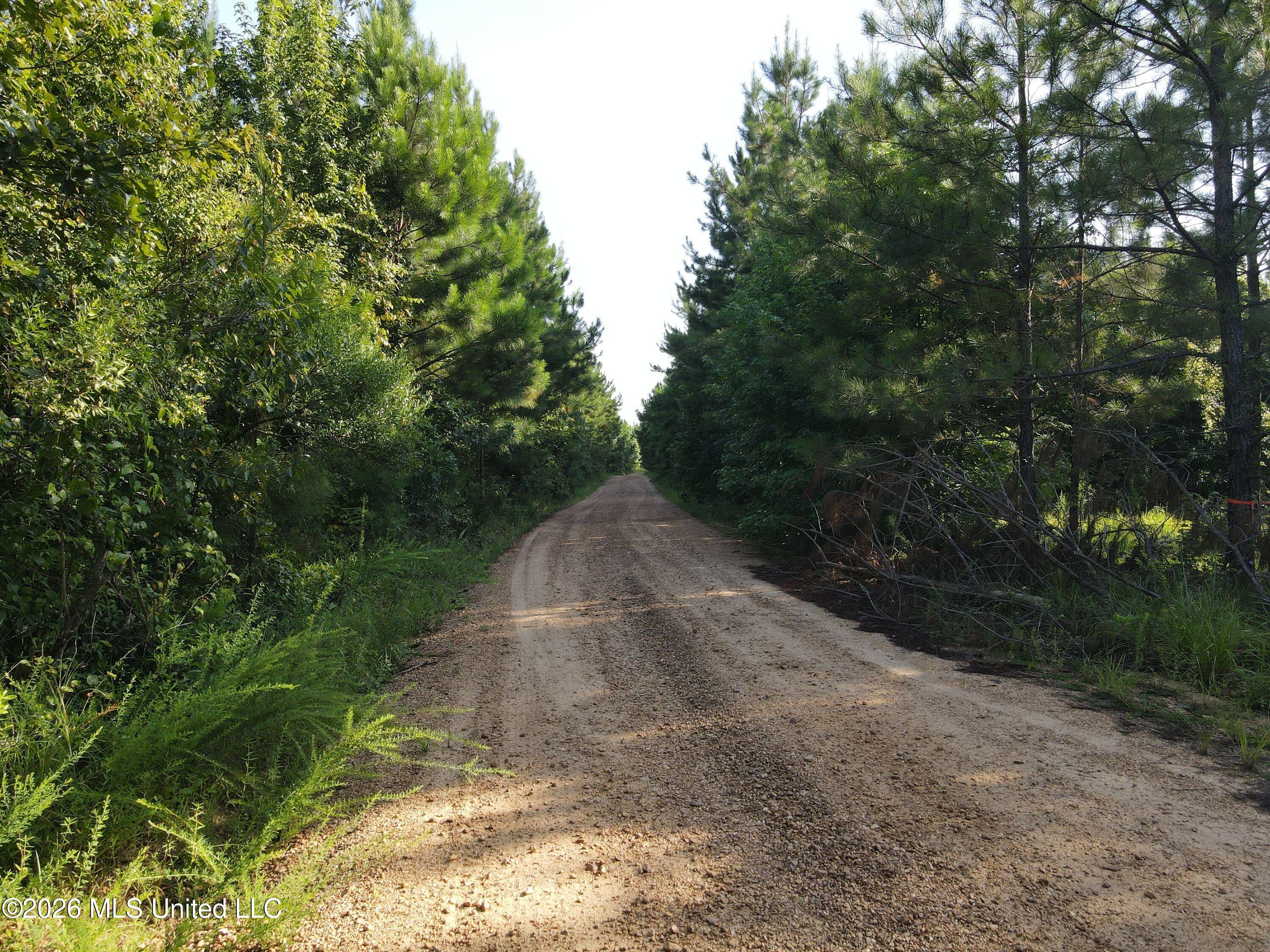 Cupit Road Property Photo 61