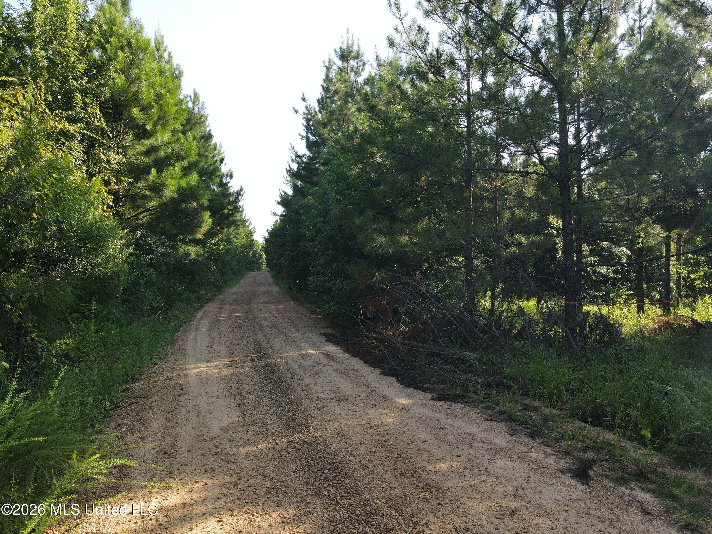 Cupit Road Property Photo 62