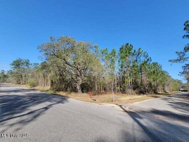 0 Wolf Street Property Photo 5