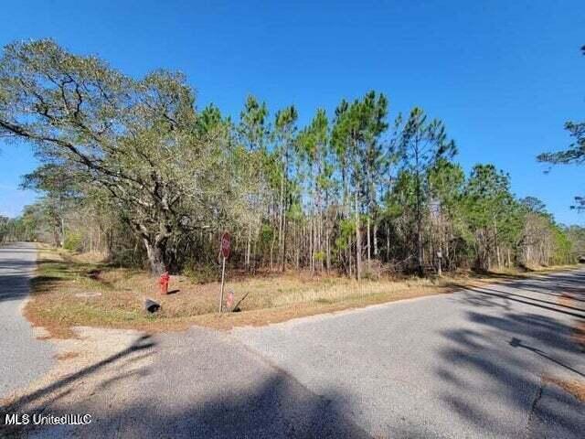 0 Wolf Street Property Photo 6