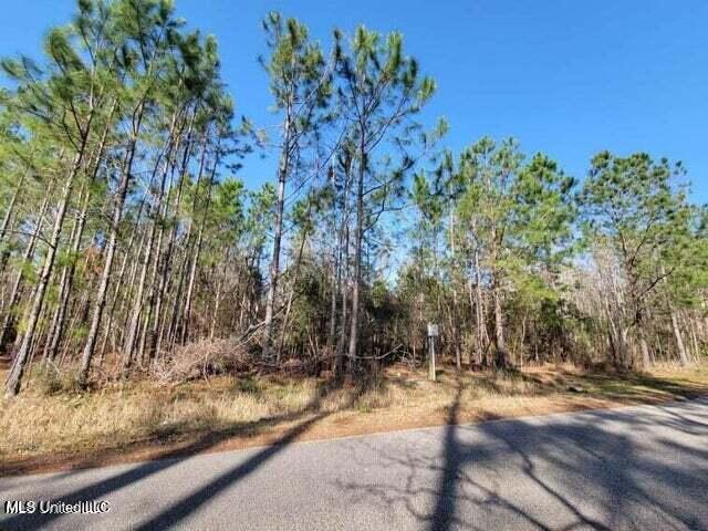0 Wolf Street Property Photo 9