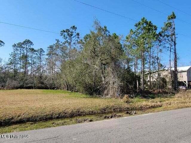 10175 River Drive Property Photo 2