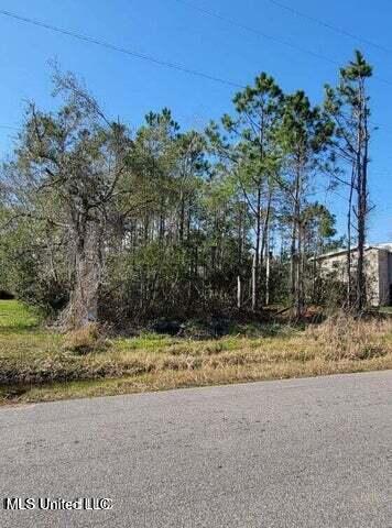 10175 River Drive Property Photo 3