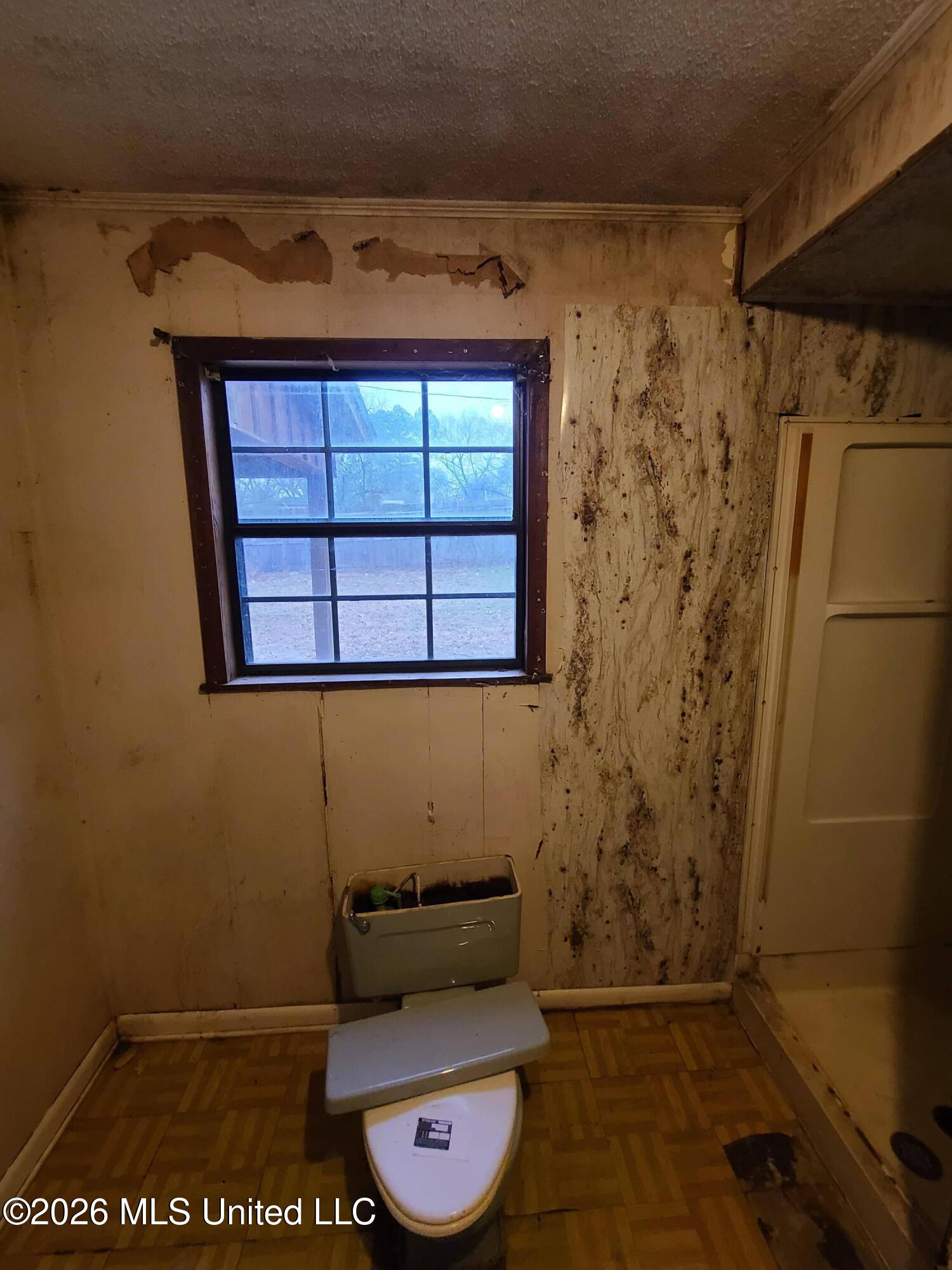 109 Stewart Street Property Photo 10
