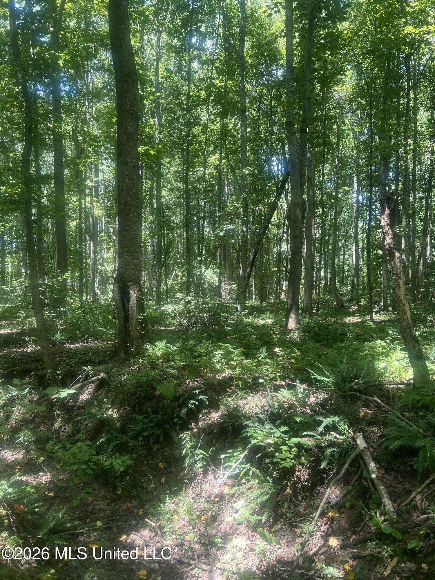 Hwy 72 Property Photo 3