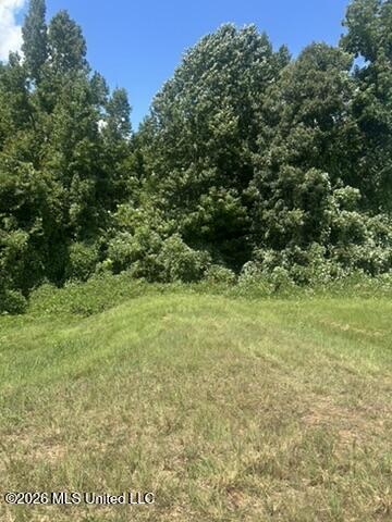 Hwy 72 Property Photo 4
