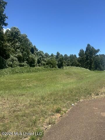 Hwy 72 Property Photo 5