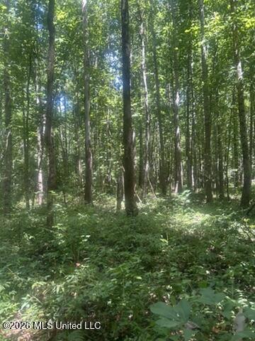 Hwy 72 Property Photo 6