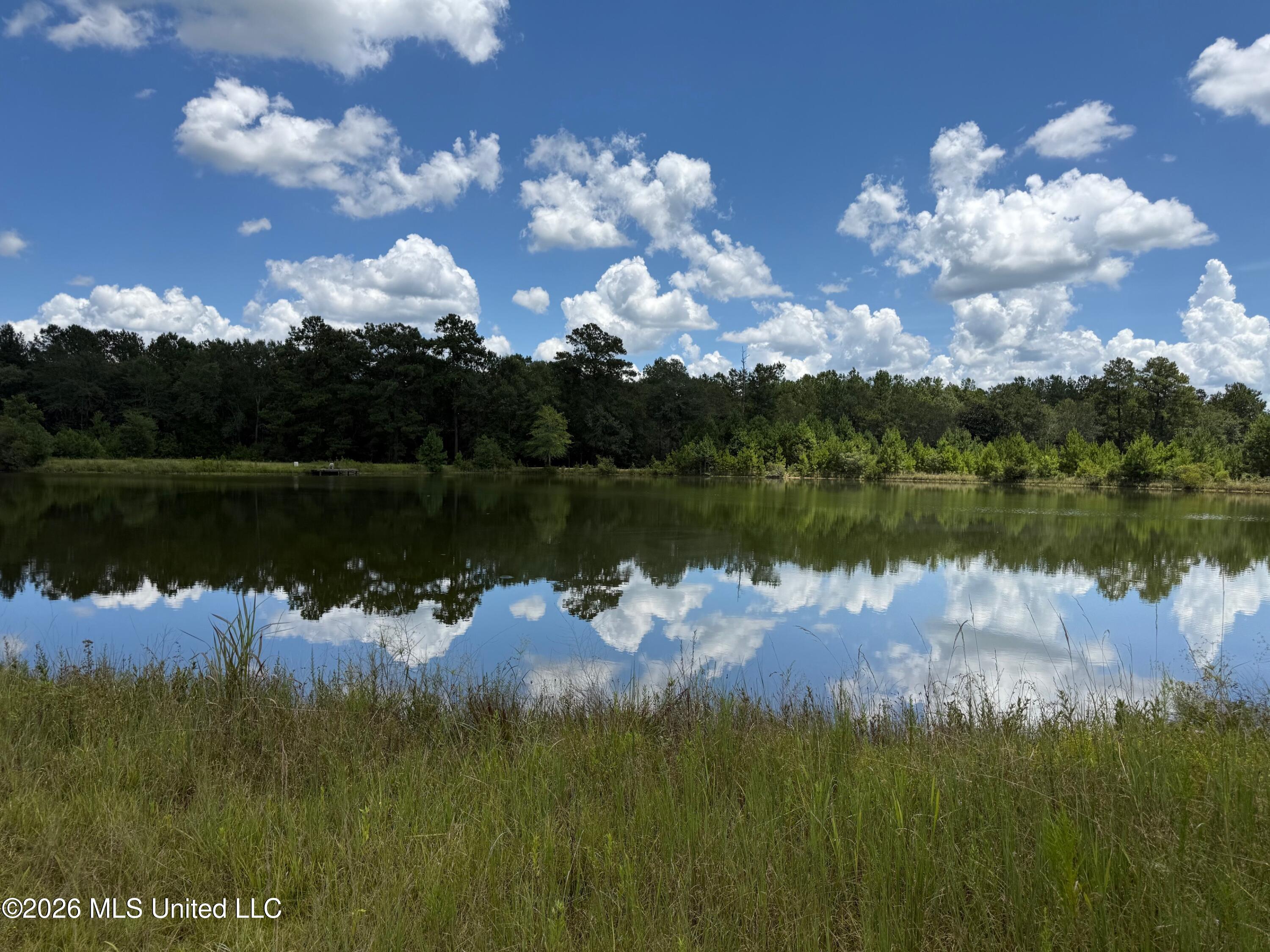 2895 Silver Run Road Property Photo 2