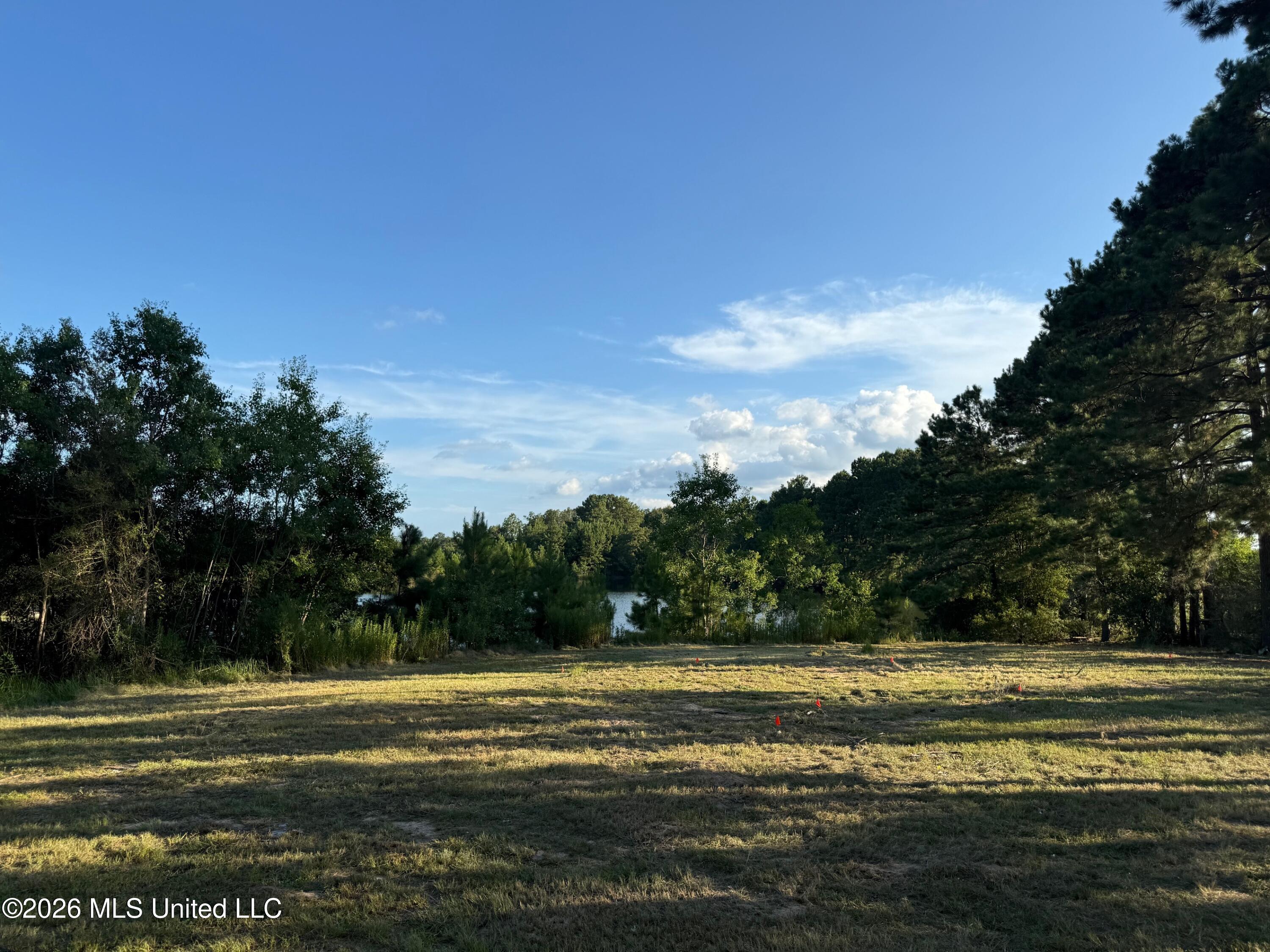 2895 Silver Run Road Property Photo 5