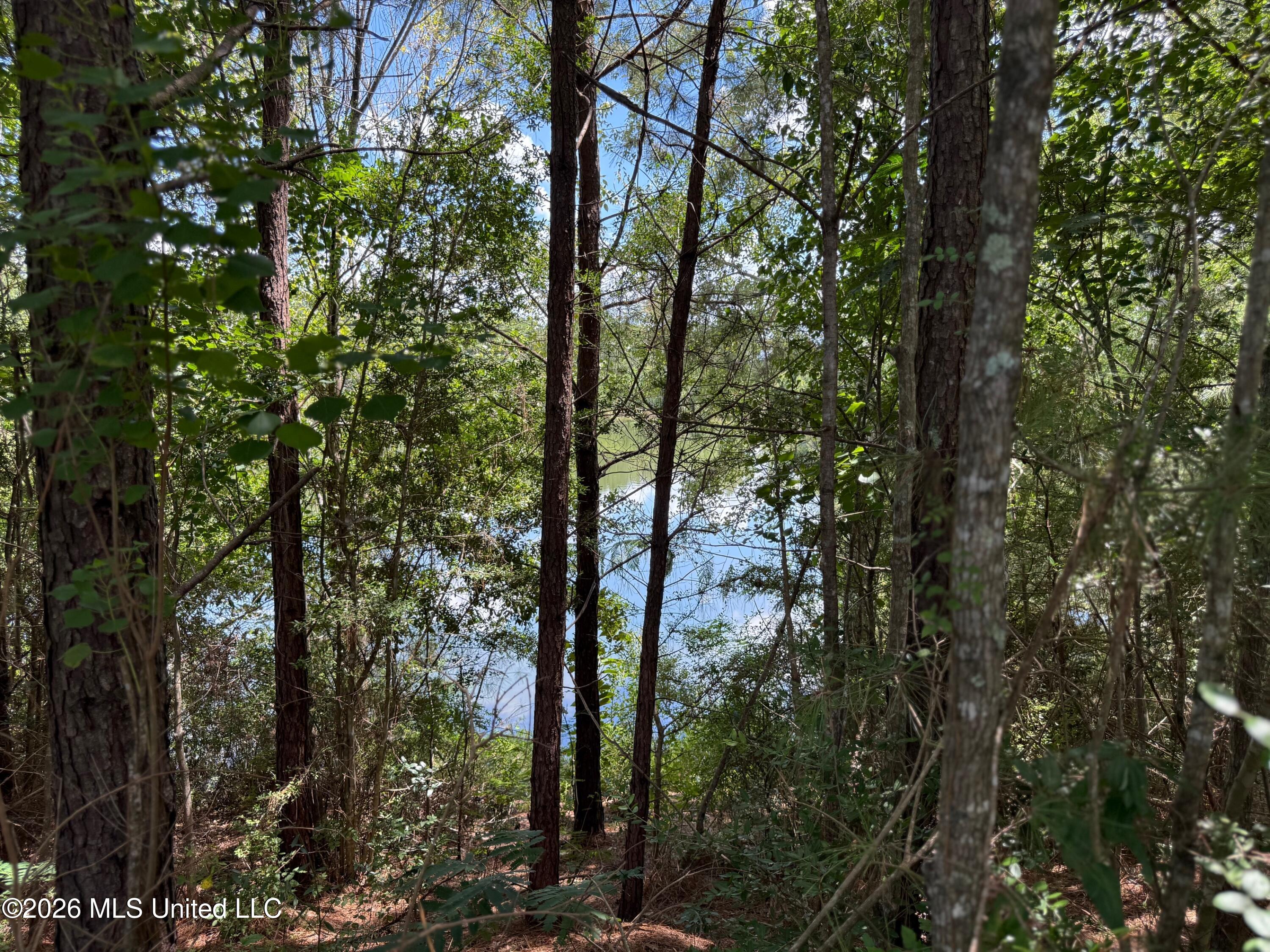 2895 Silver Run Road Property Photo 6