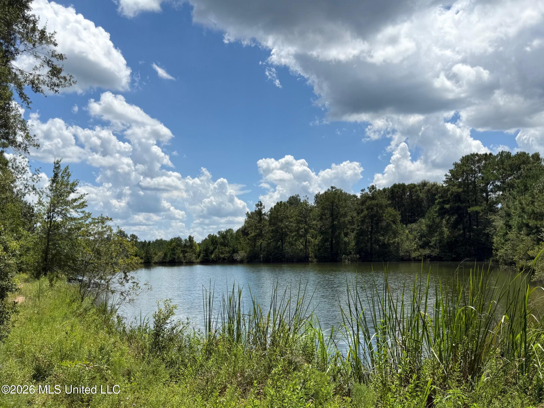 2895 Silver Run Road Property Photo 7