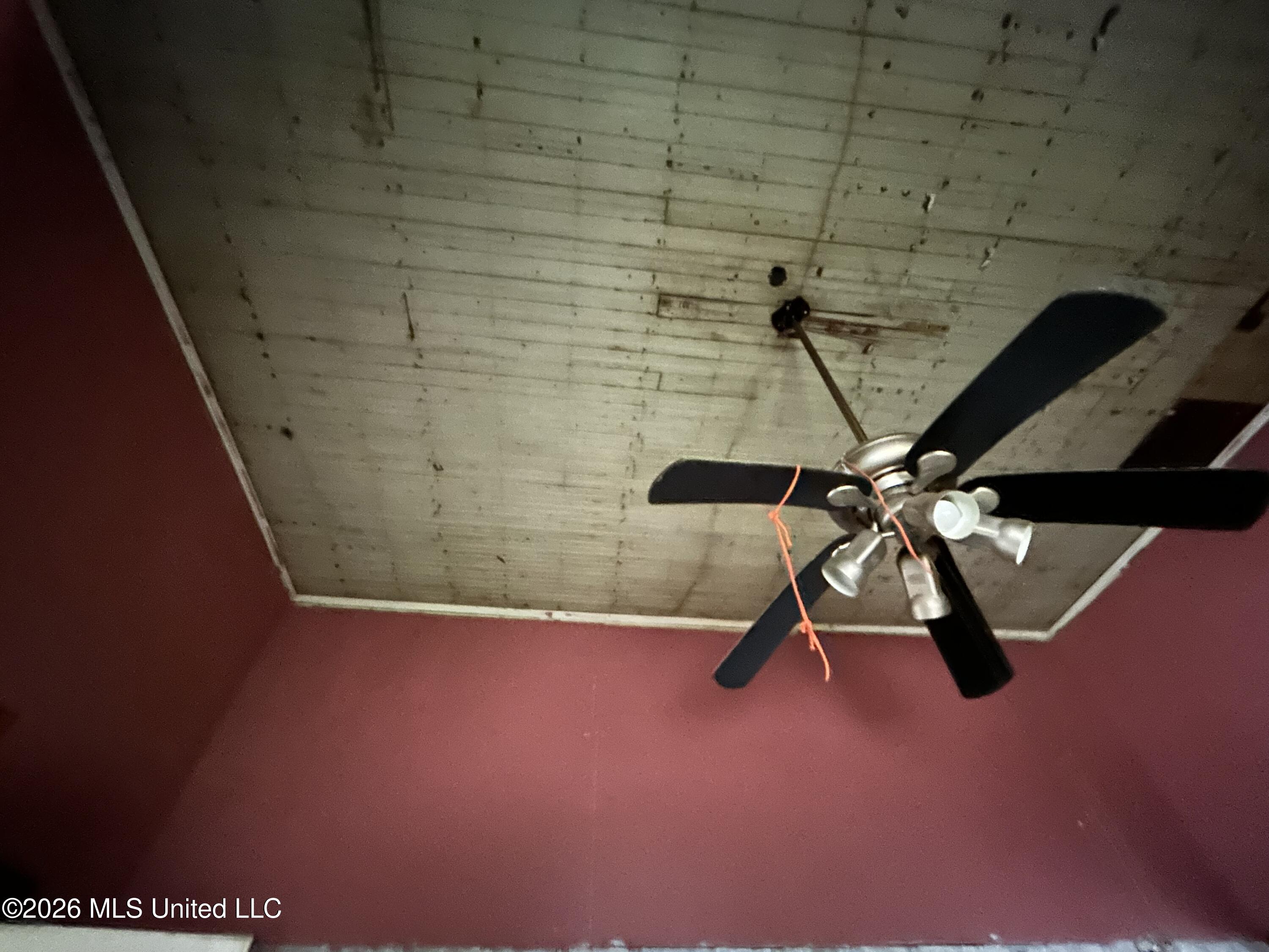 21 Holmes Street Property Photo 10