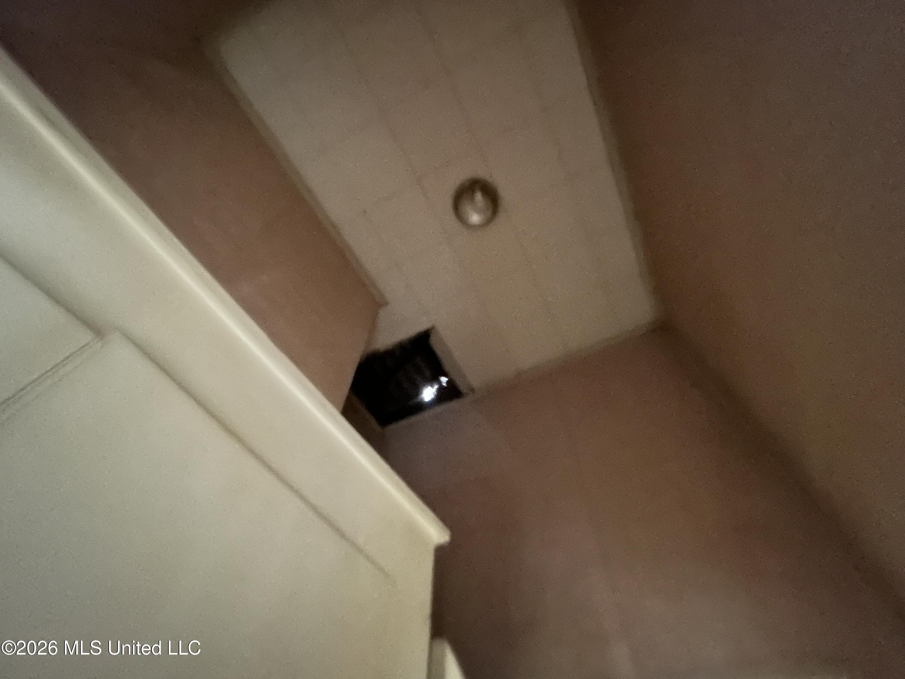 21 Holmes Street Property Photo 15