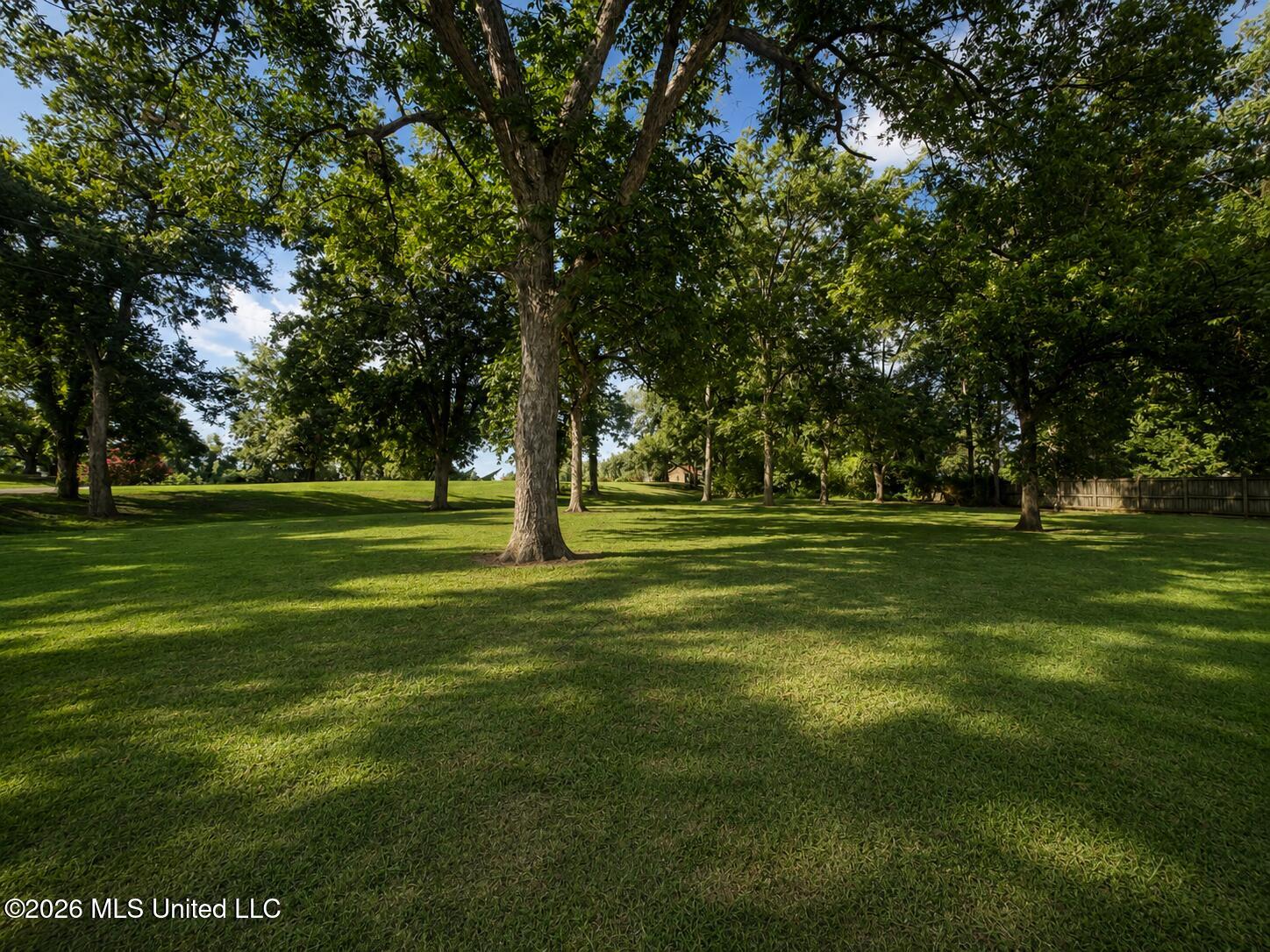 Neil Cove Property Photo 6