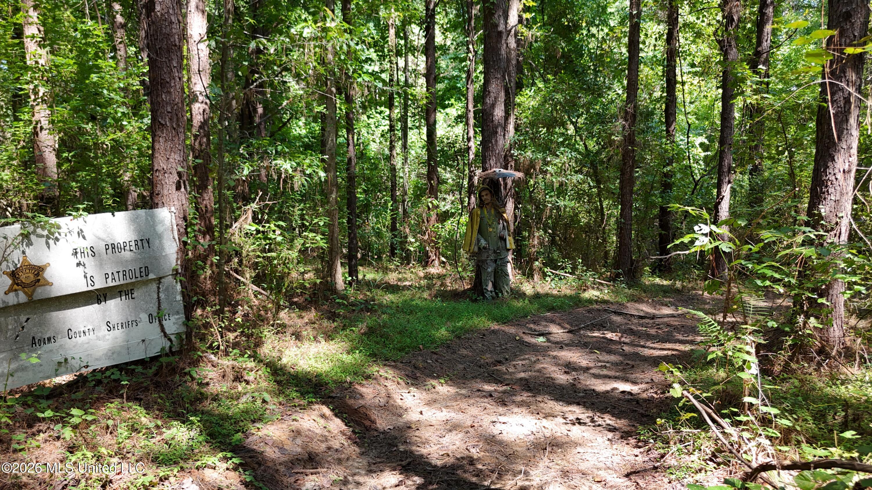 7 Jordan Road Property Photo 56