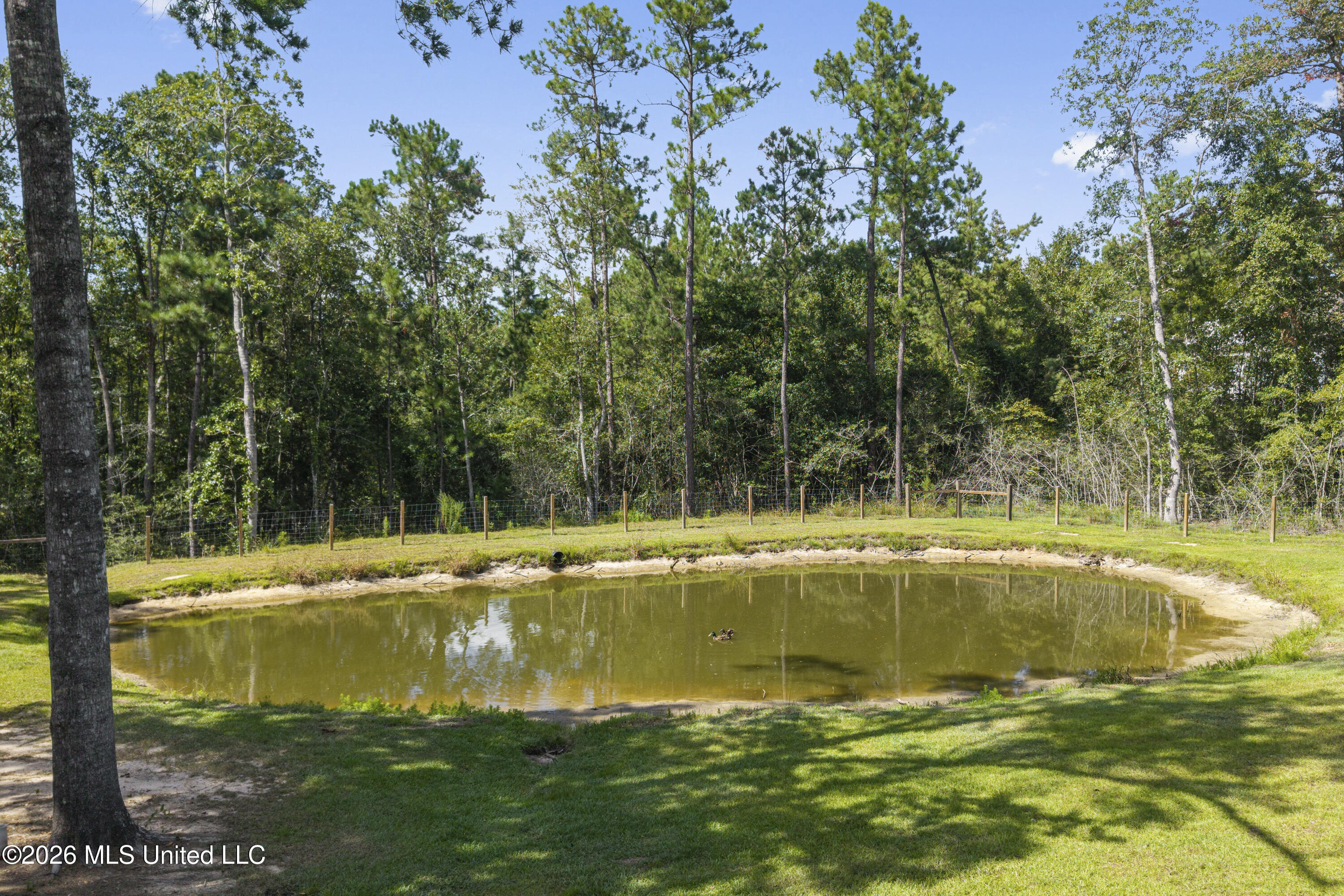 9 Stone Forrest Trail Property Photo 42