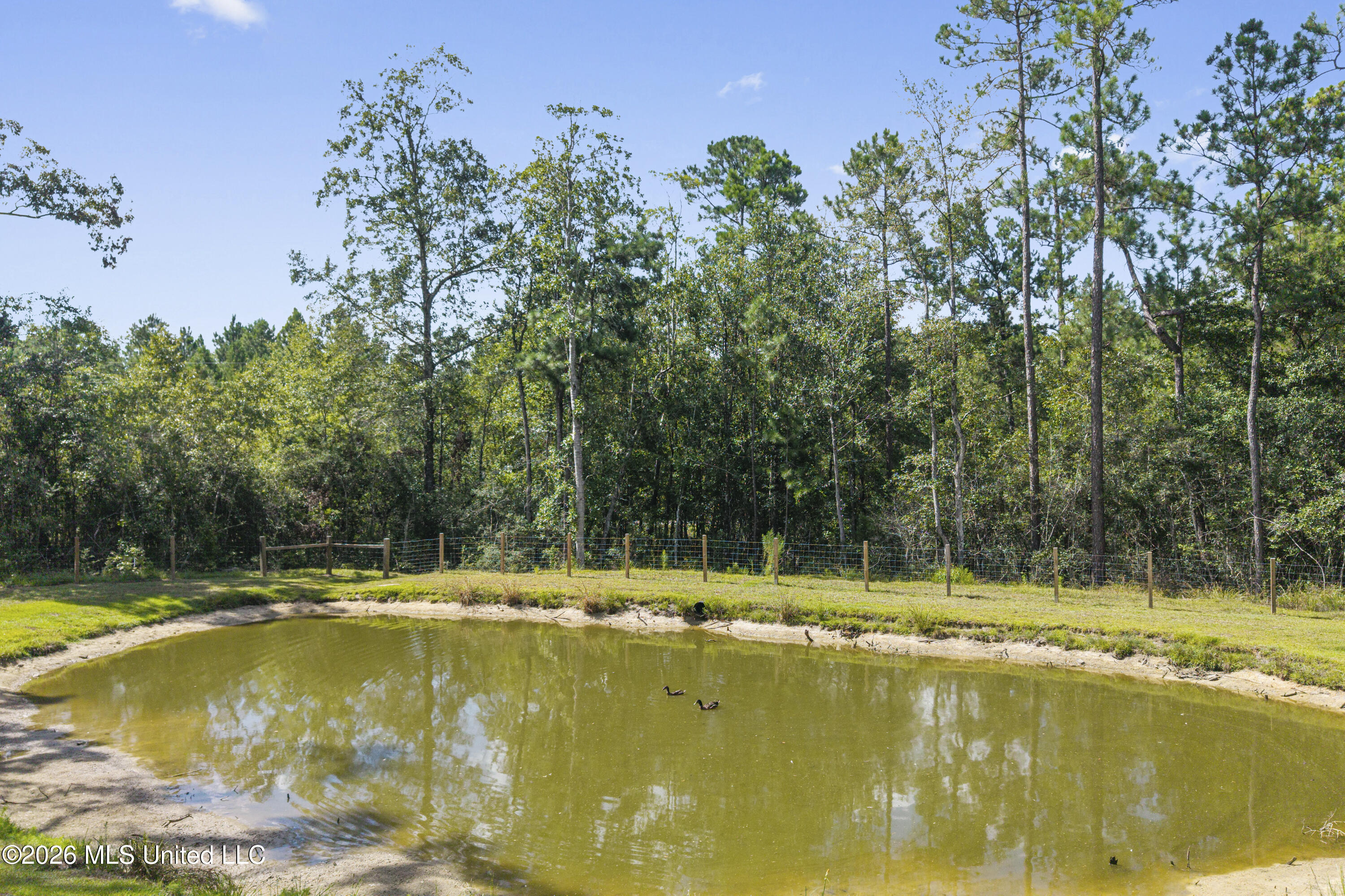 9 Stone Forrest Trail Property Photo 44