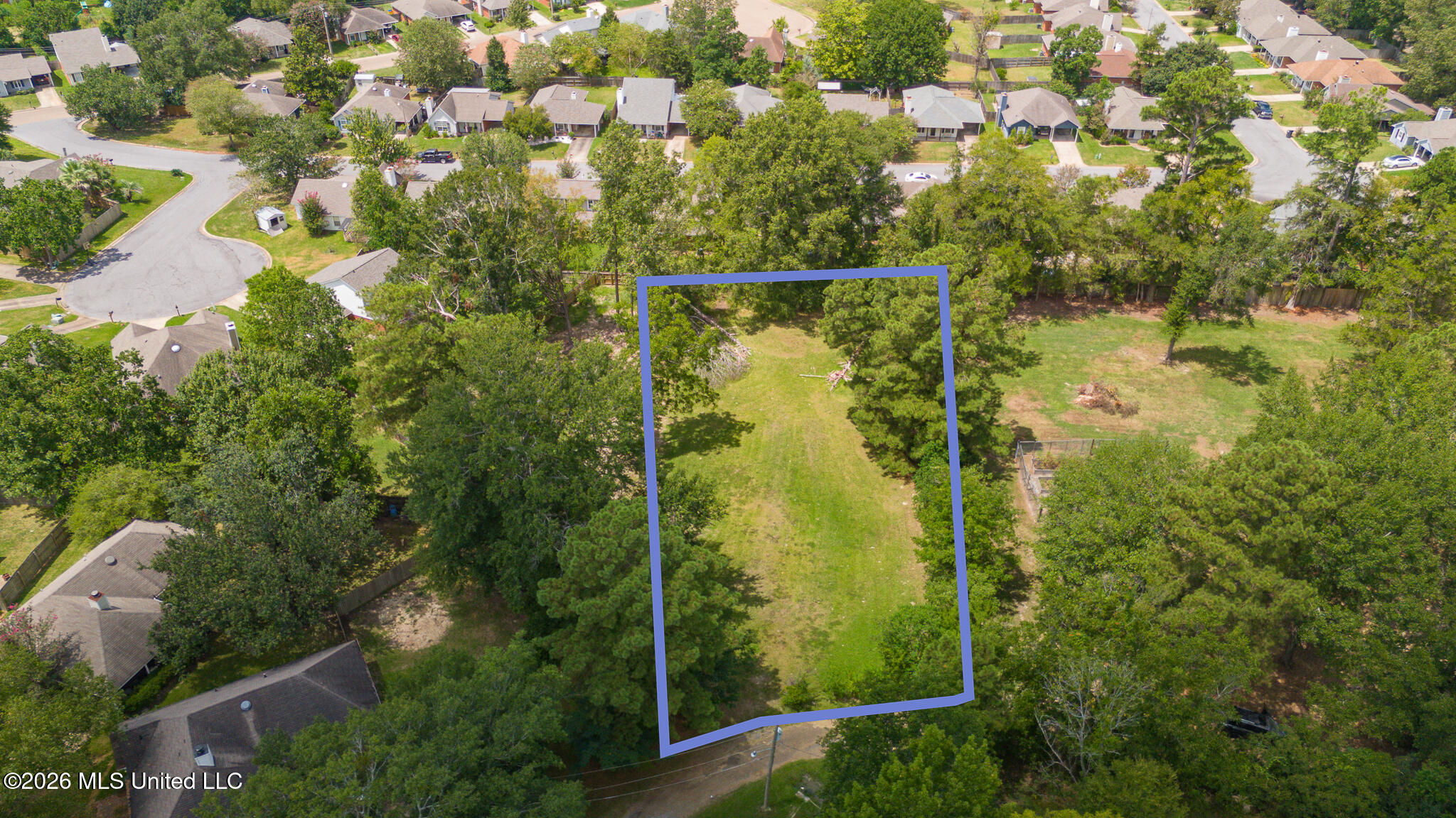 Woody Drive Property Photo 9
