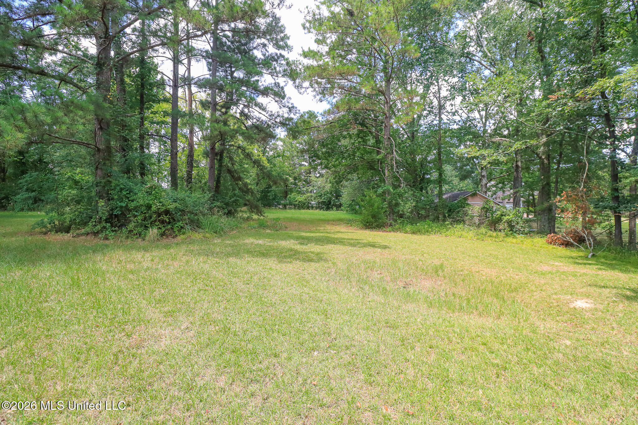 0 Woody Drive Property Photo 1