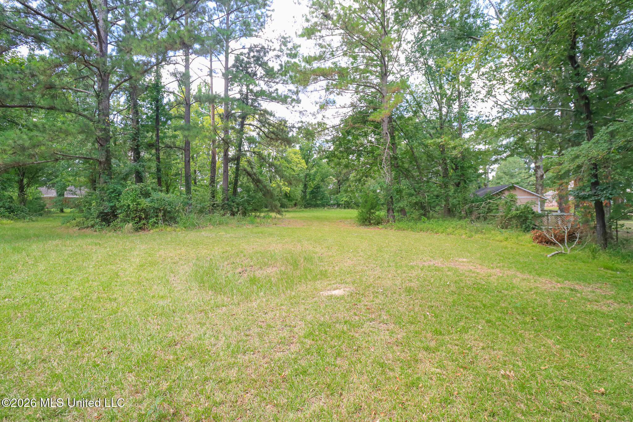 0 Woody Drive Property Photo 2