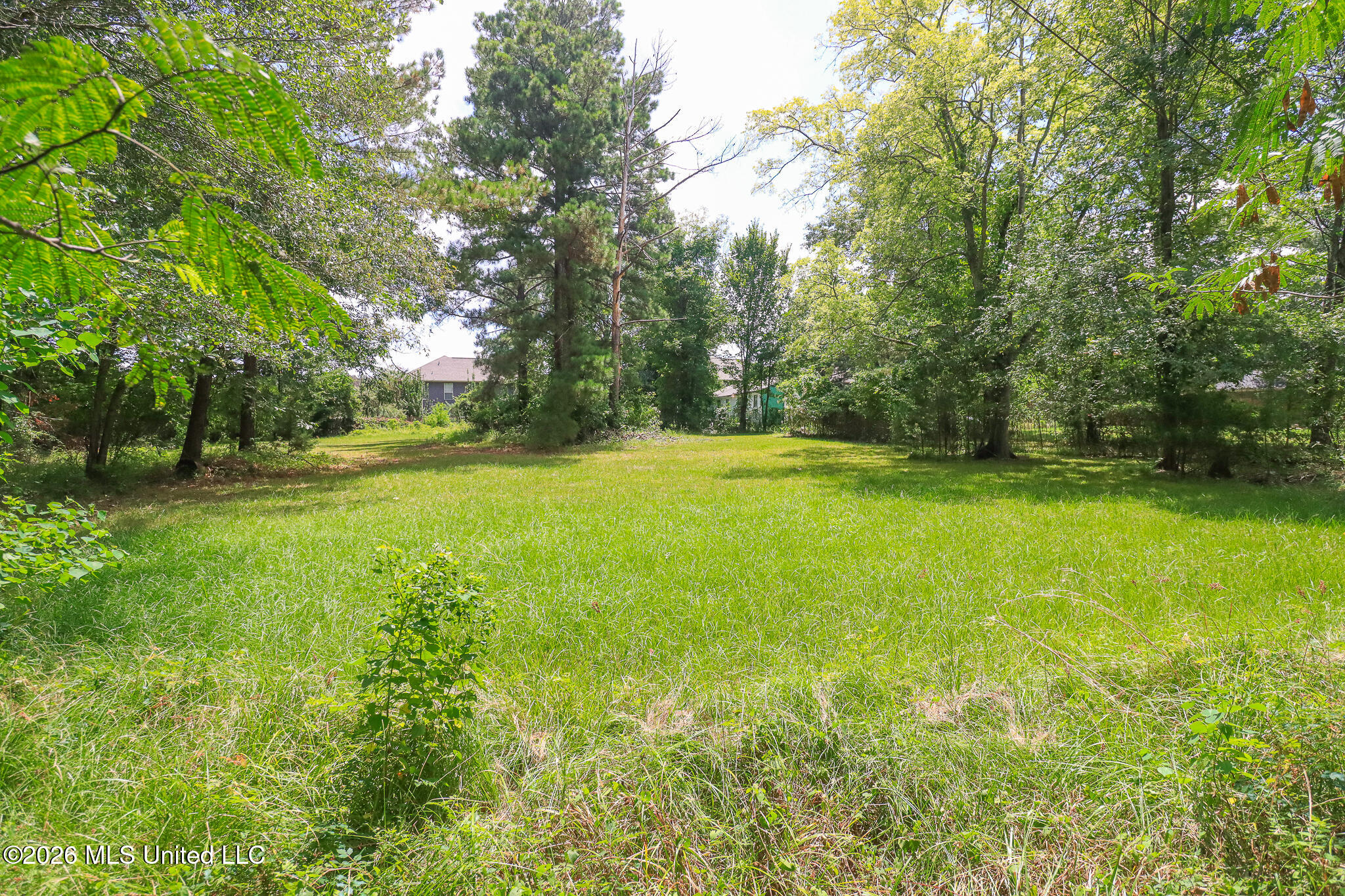 0 Woody Drive Property Photo 4