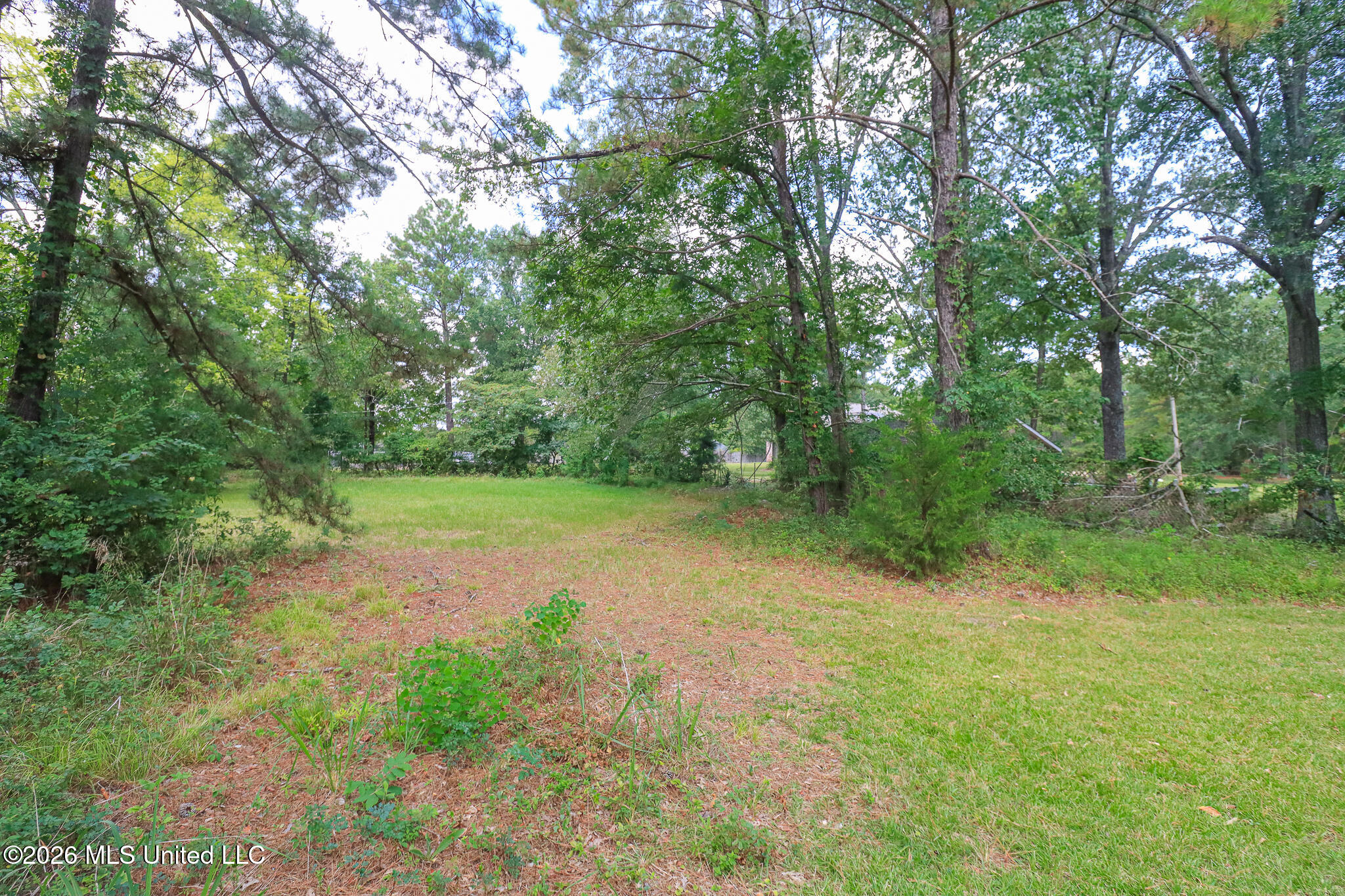 0 Woody Drive Property Photo 14