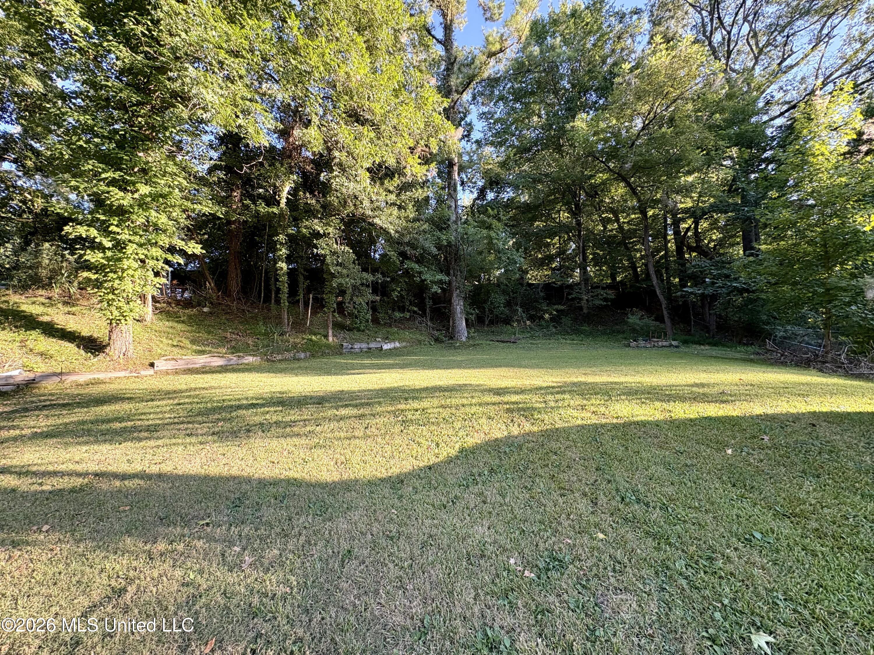 111 Moonmist Drive Property Photo 23
