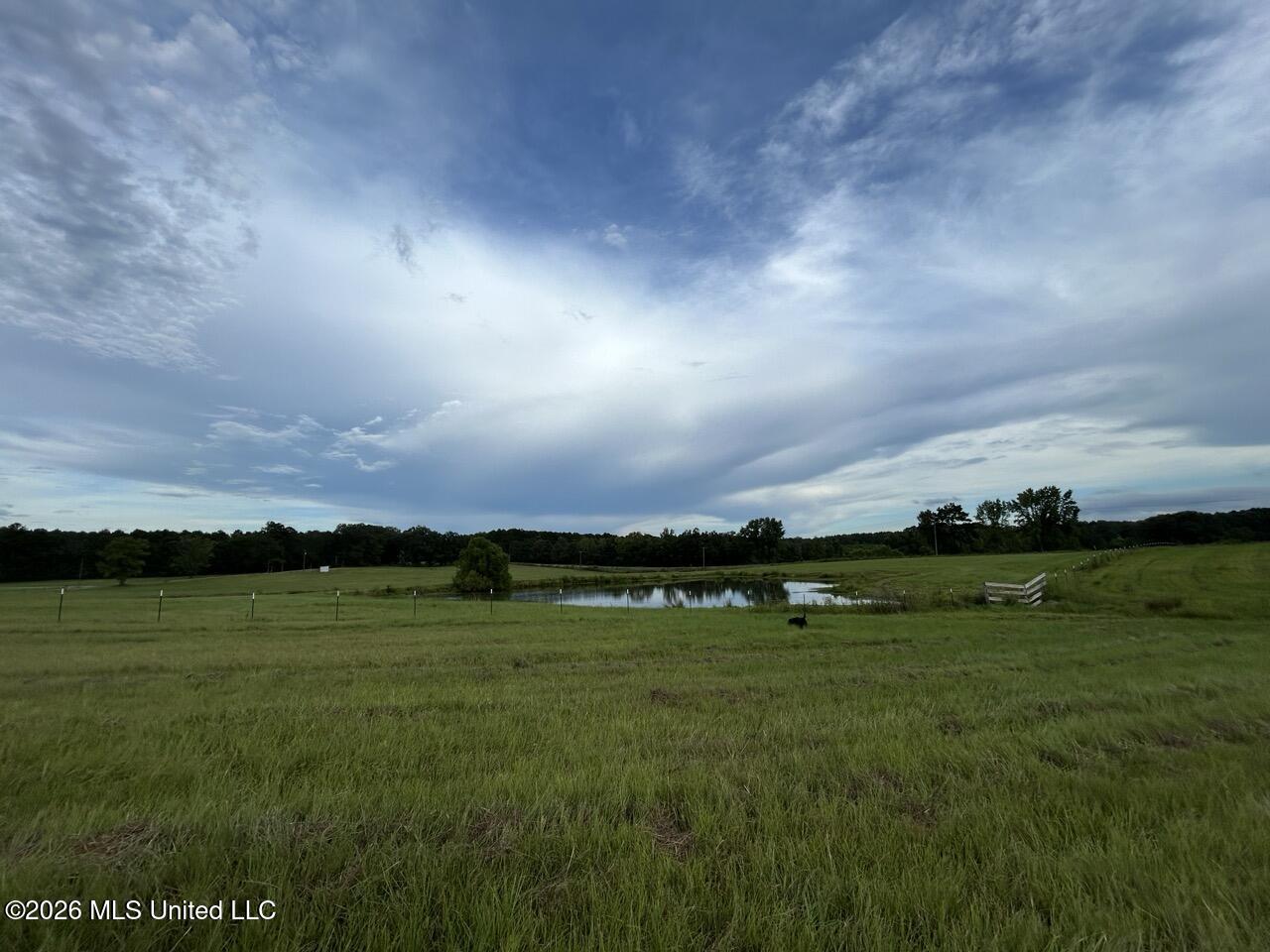 8007 Old Highway 24 Property Photo 38