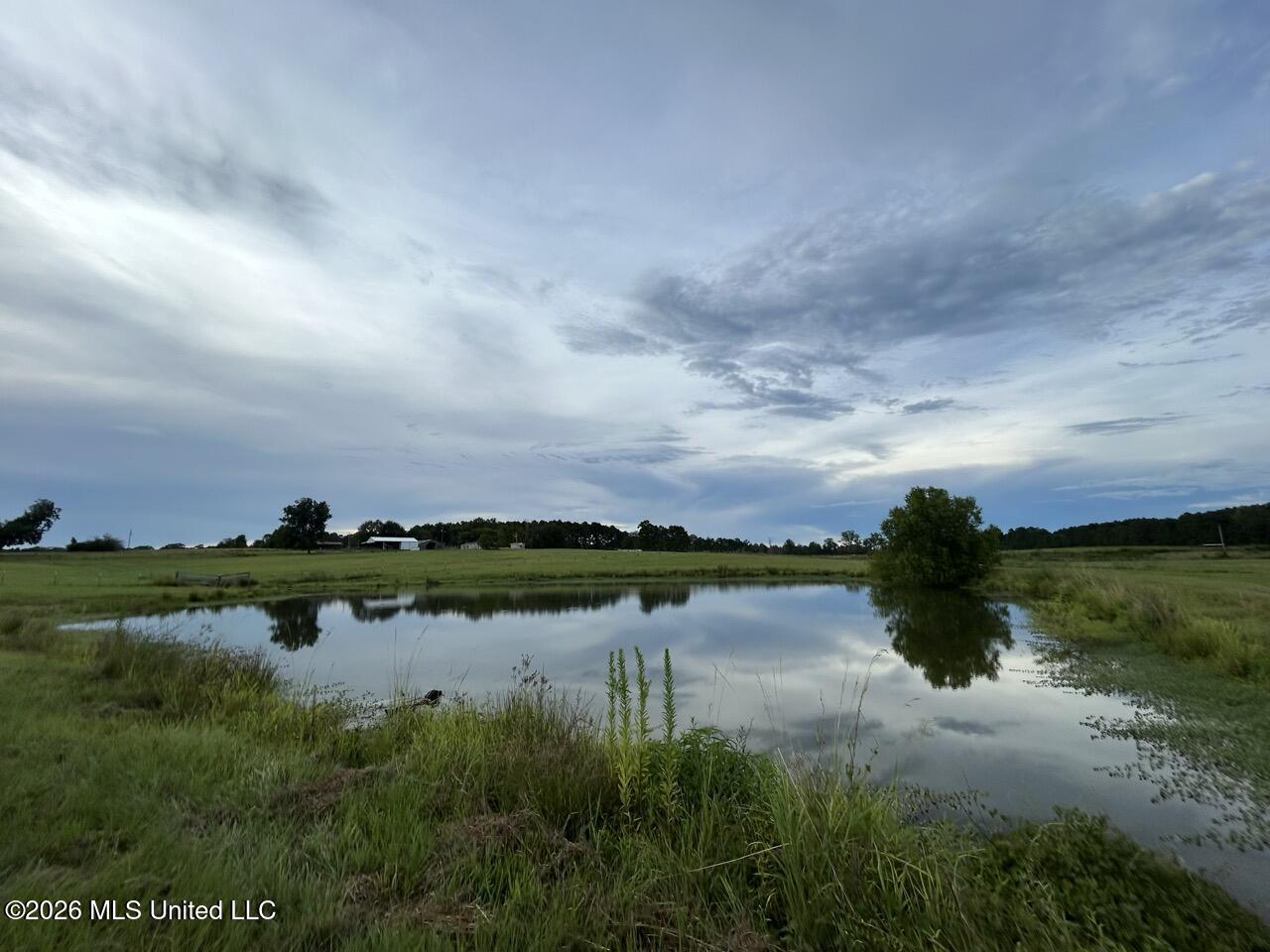8007 Old Highway 24 Property Photo 42