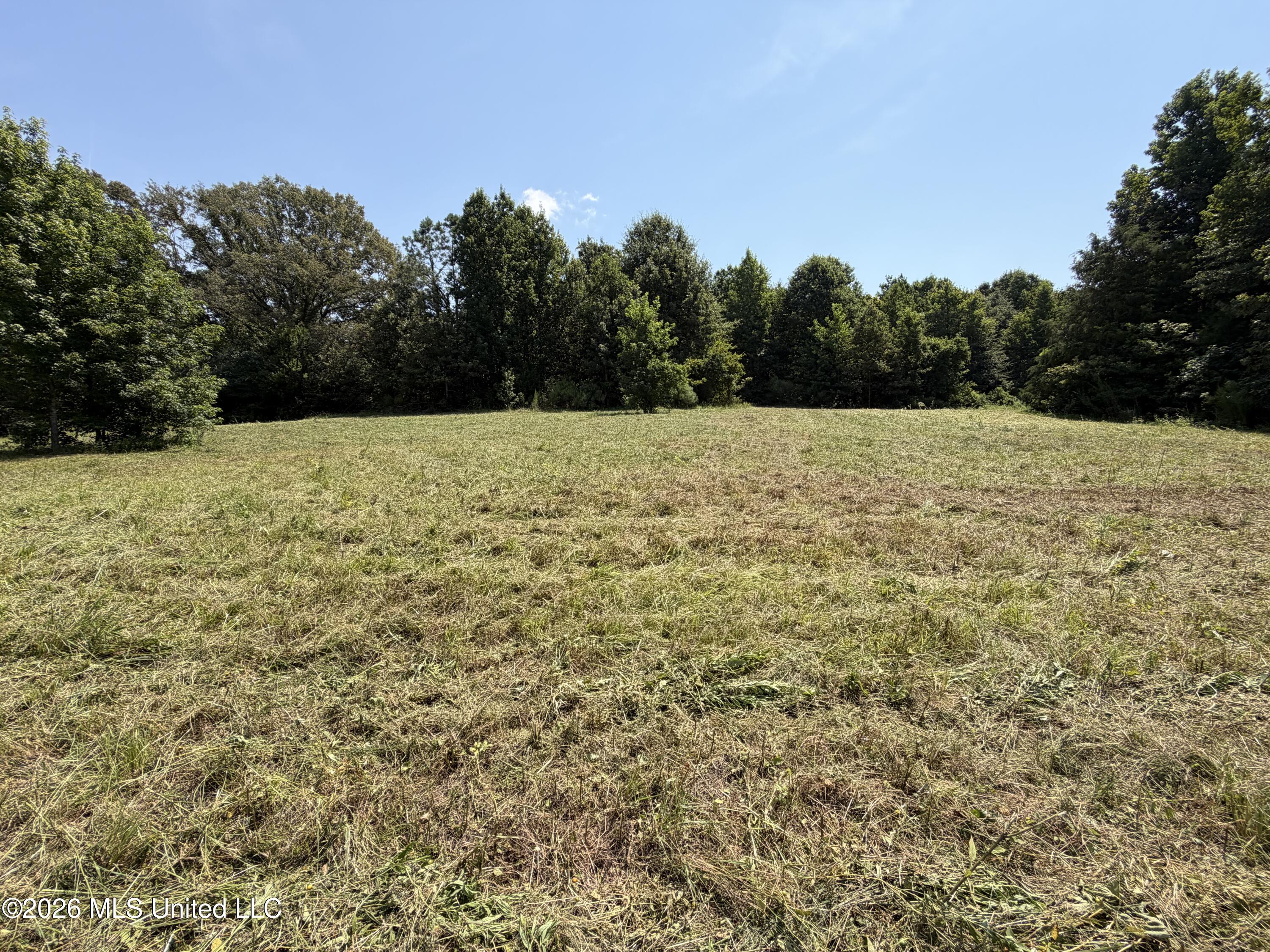 Wildwood Road Property Photo 29