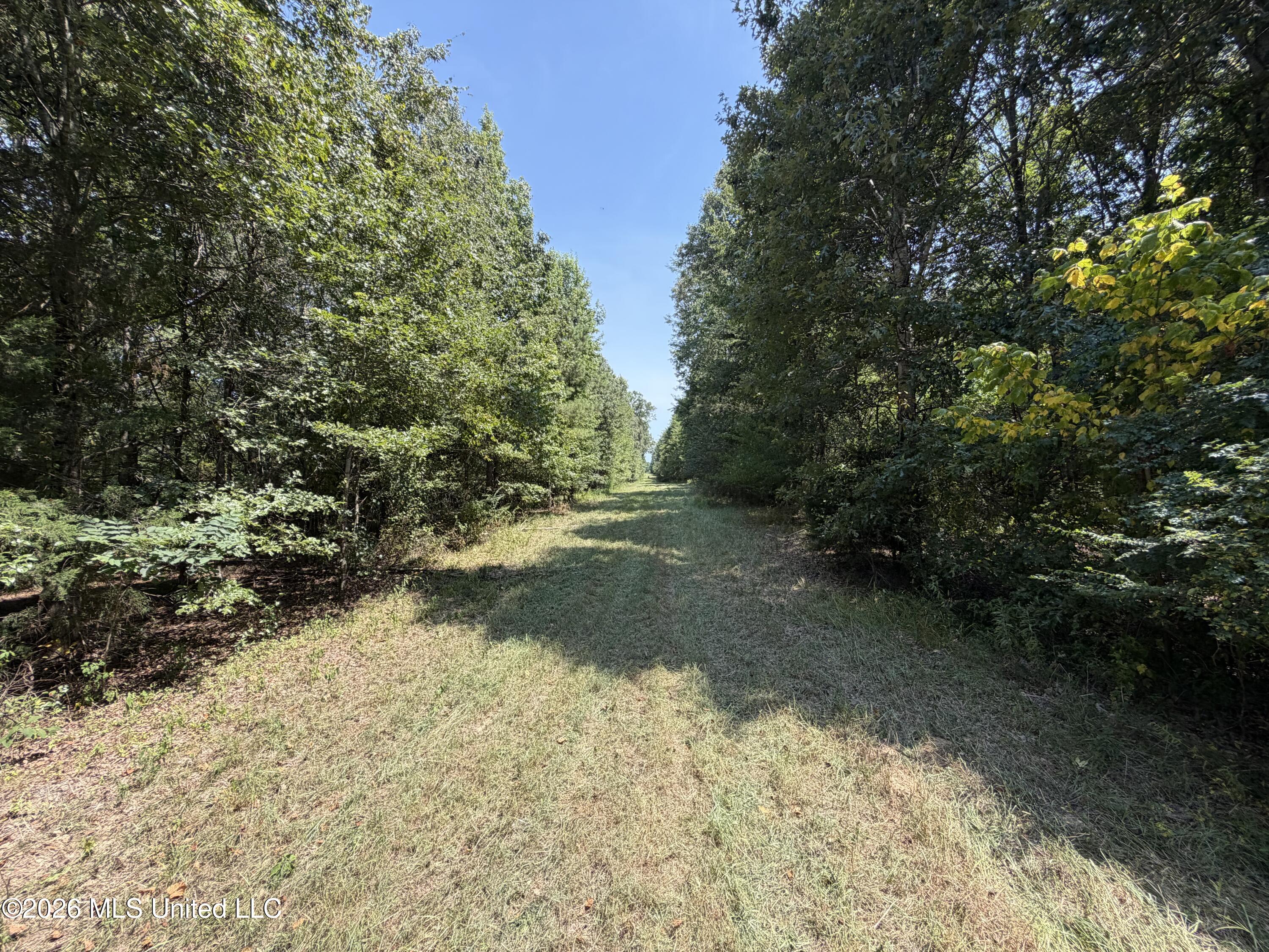 Wildwood Road Property Photo 33