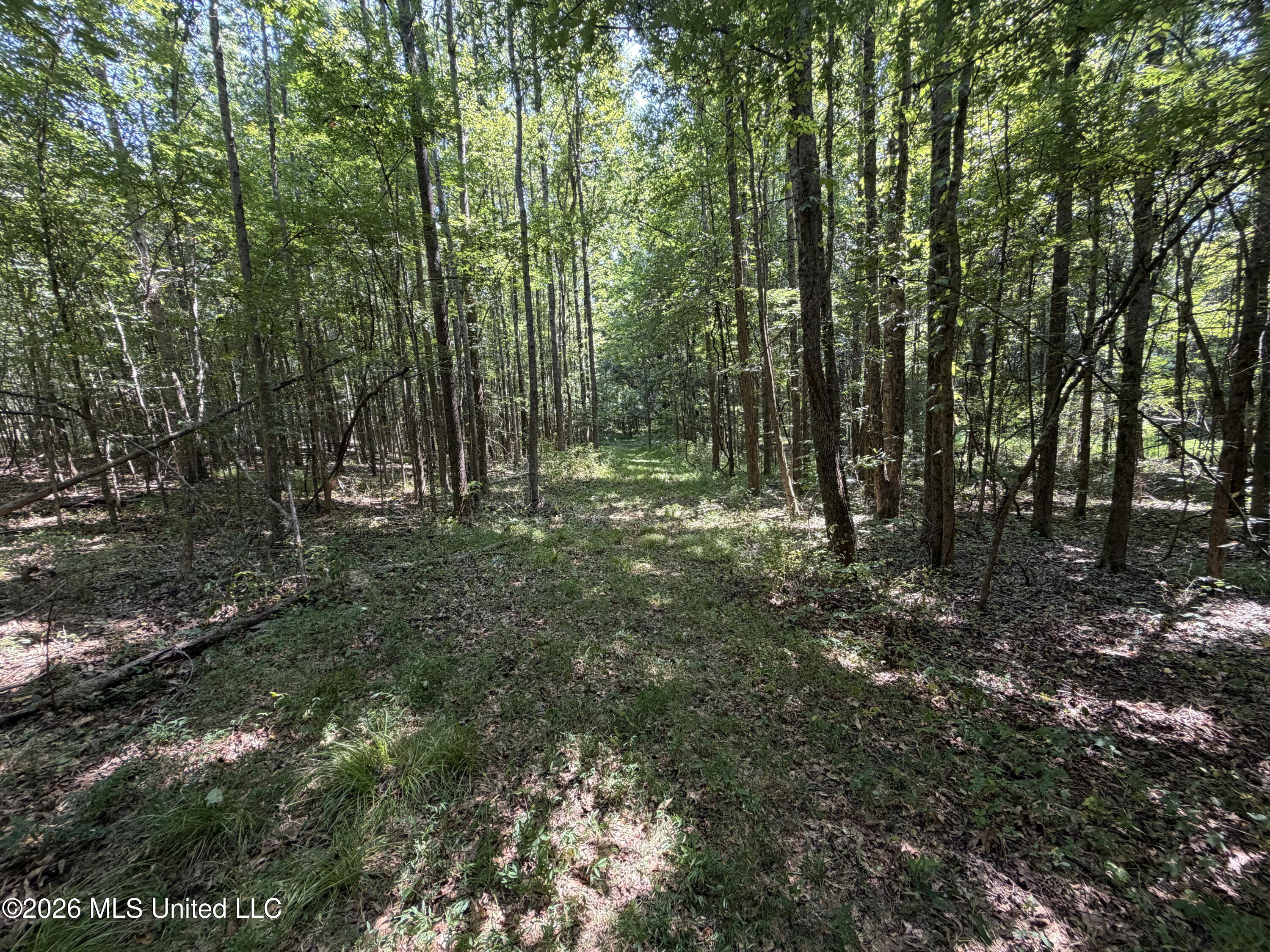 Wildwood Road Property Photo 34