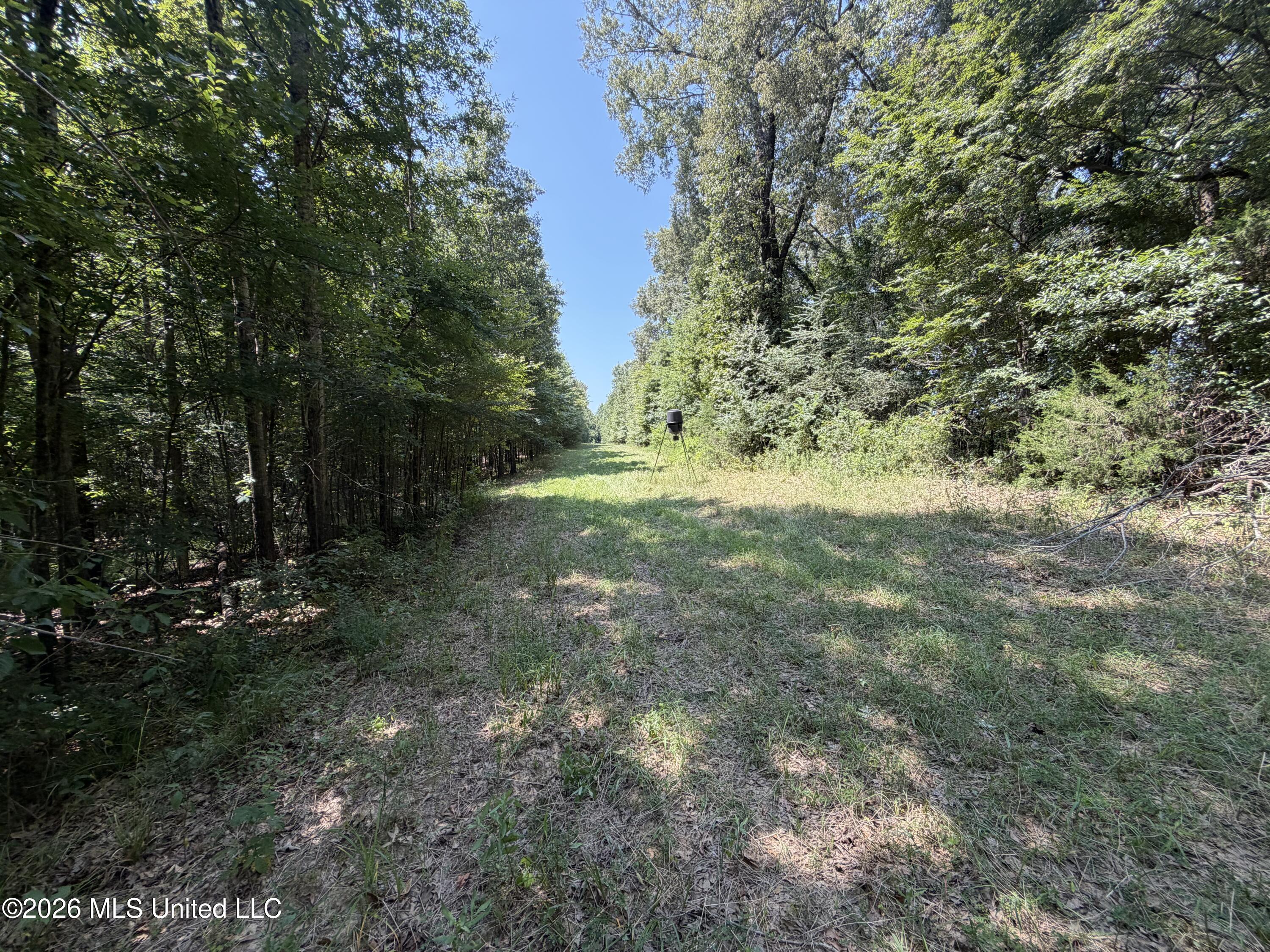 Wildwood Road Property Photo 35