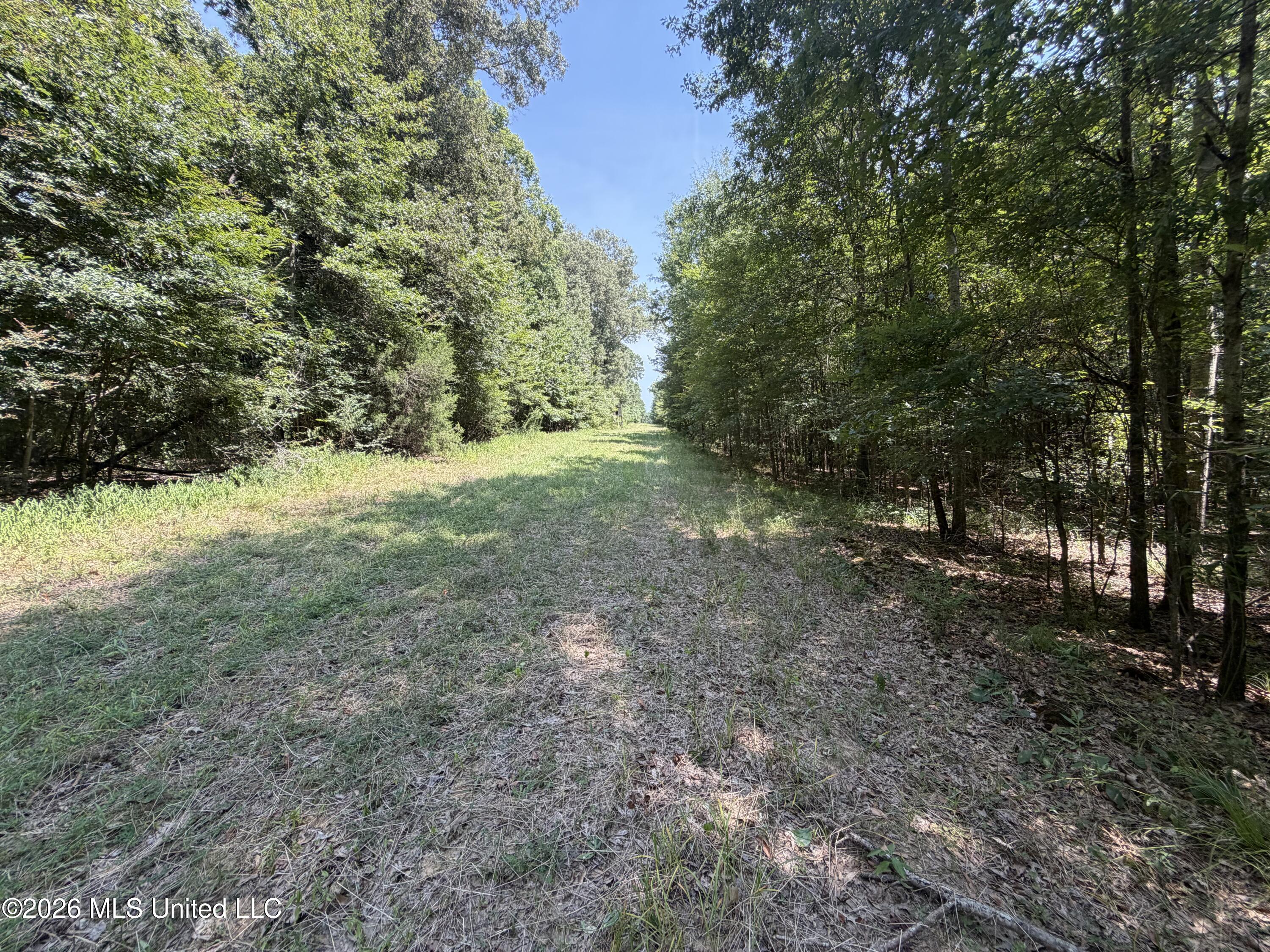 Wildwood Road Property Photo 37