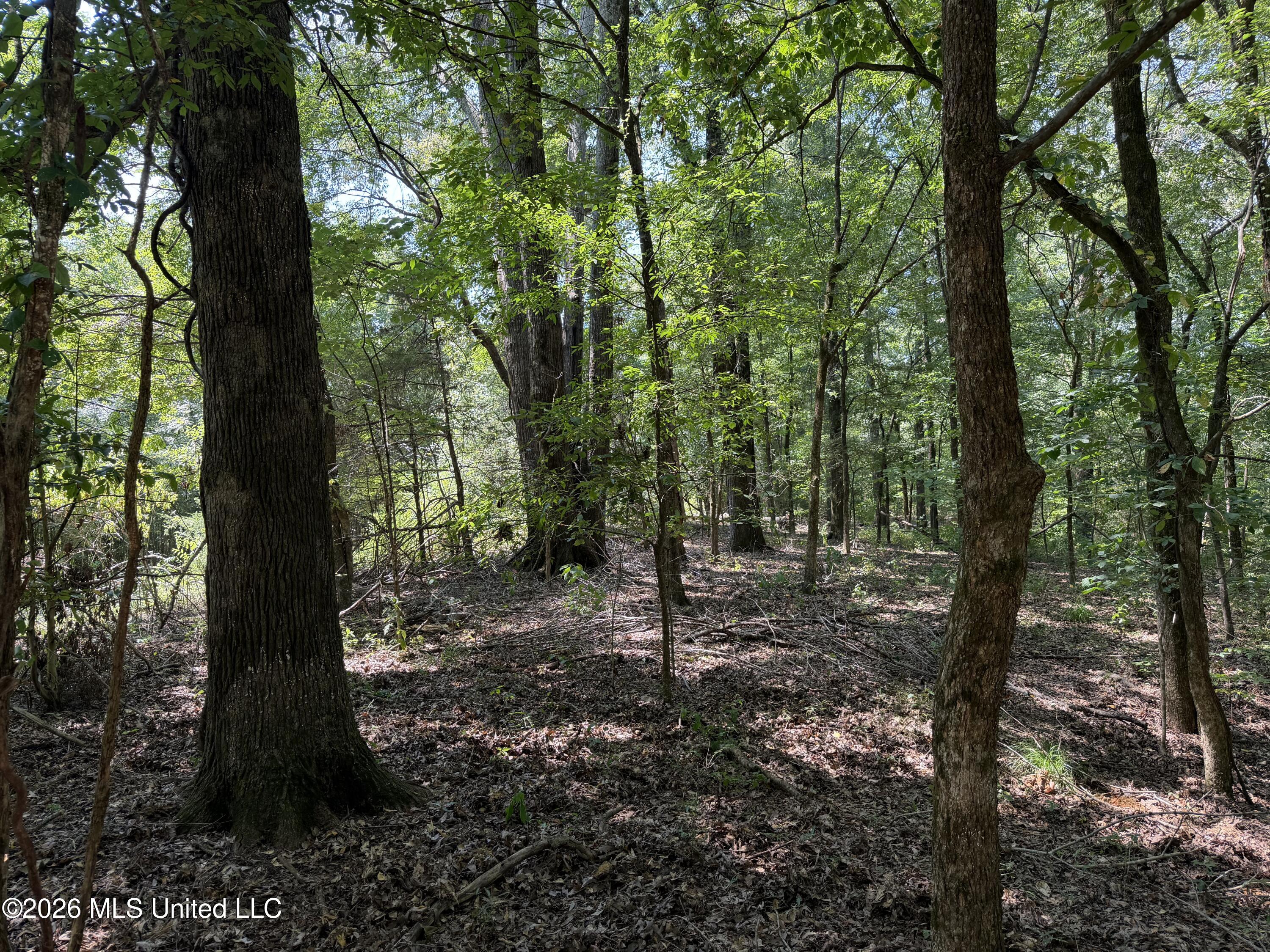Wildwood Road Property Photo 38