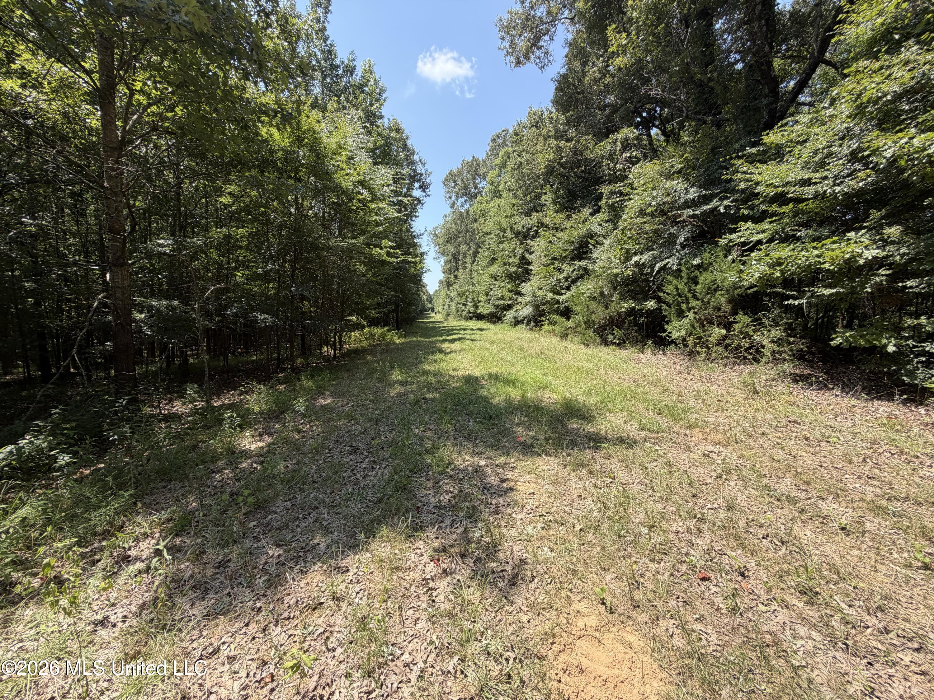 Wildwood Road Property Photo 39