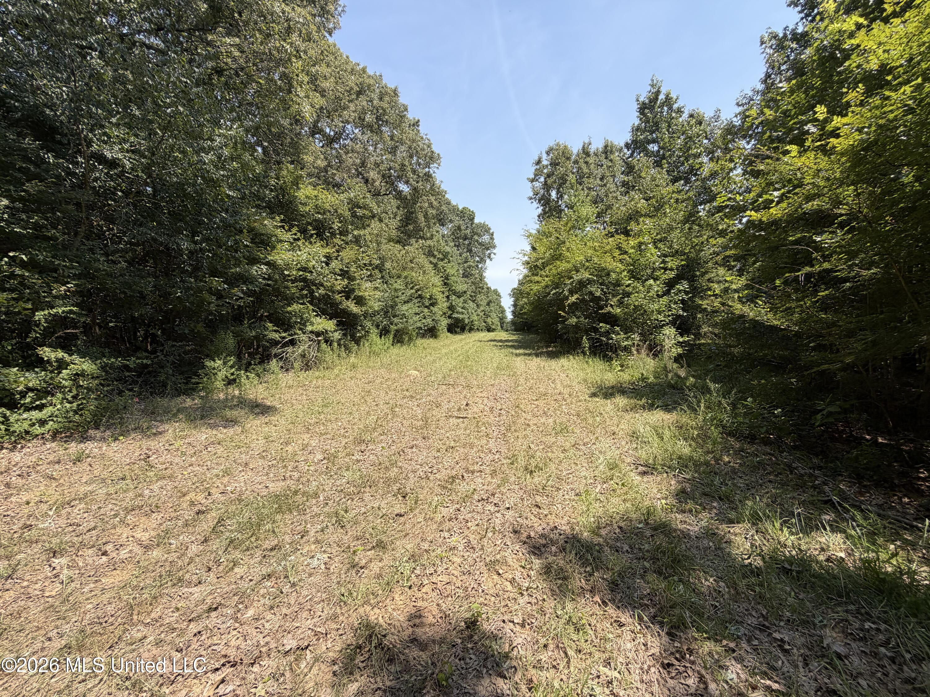 Wildwood Road Property Photo 41