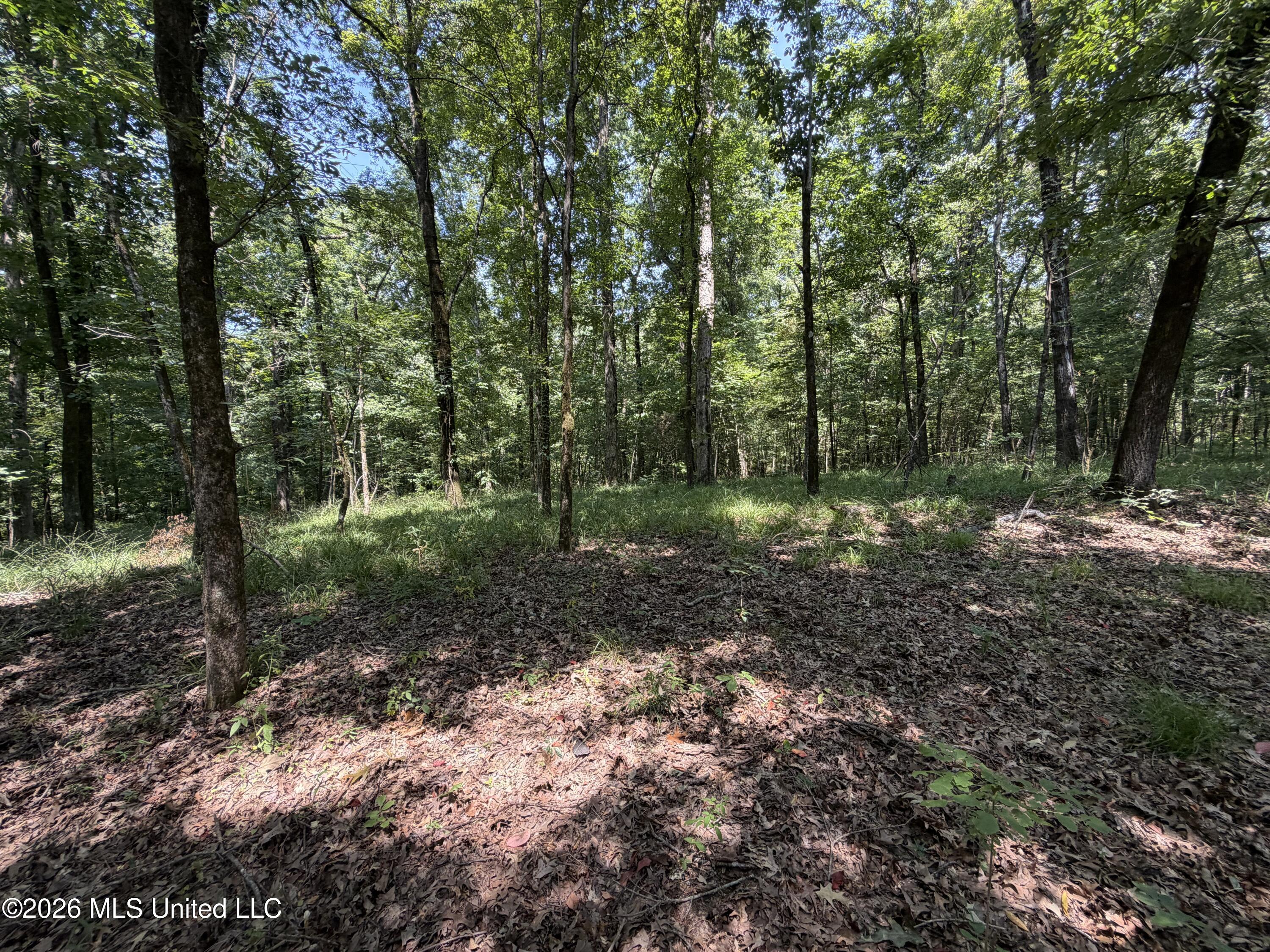 Wildwood Road Property Photo 42