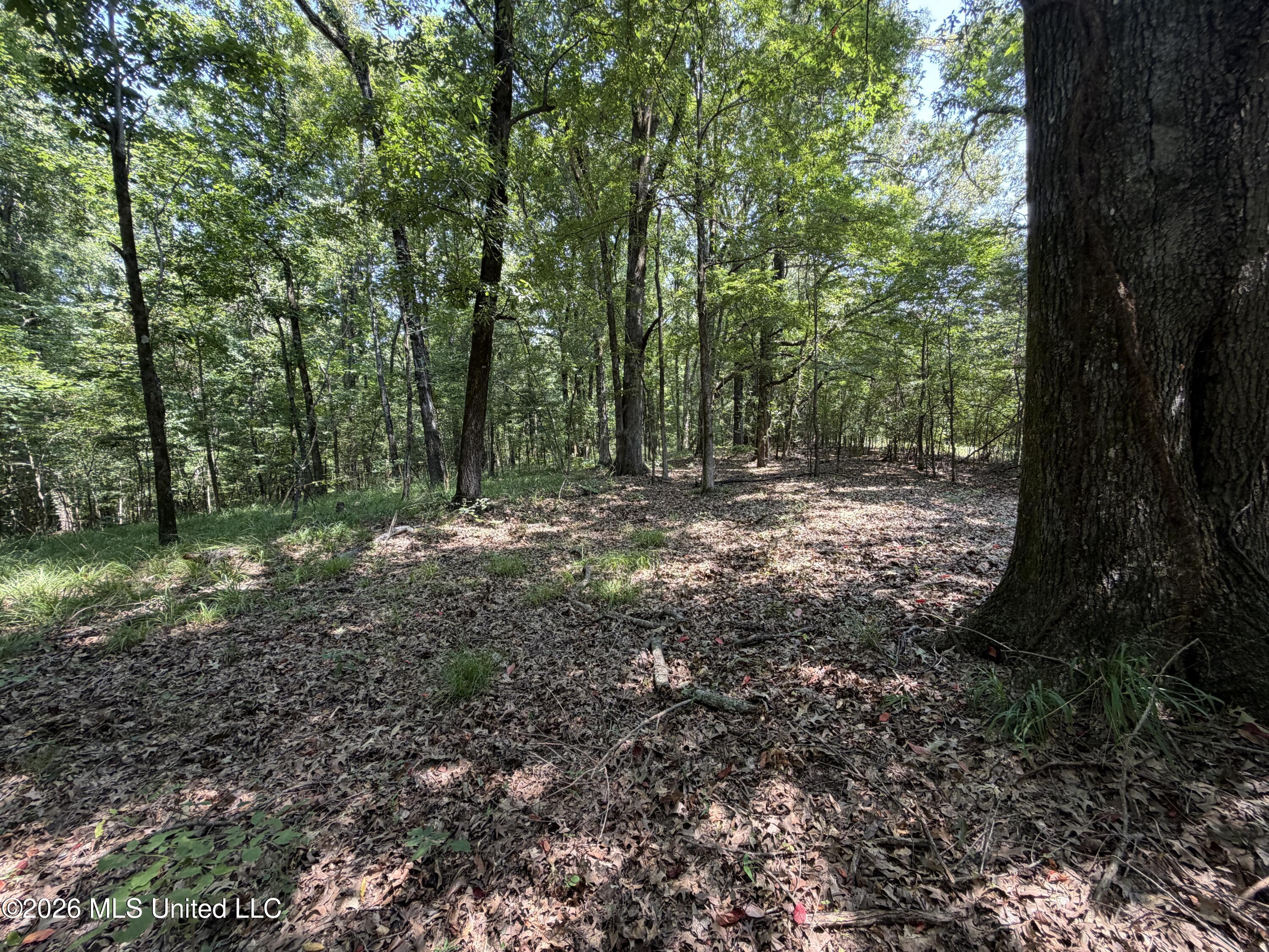Wildwood Road Property Photo 43