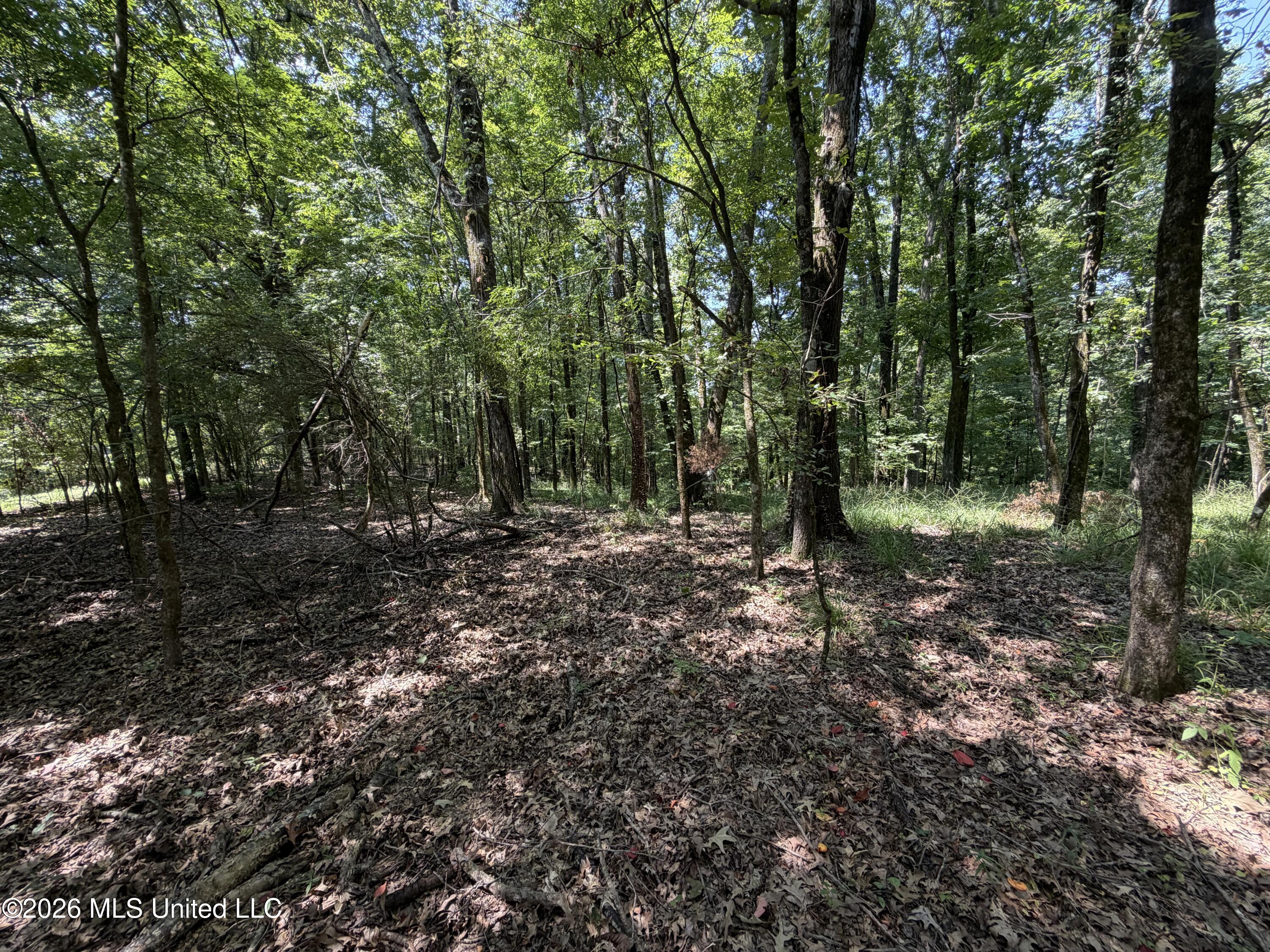 Wildwood Road Property Photo 44