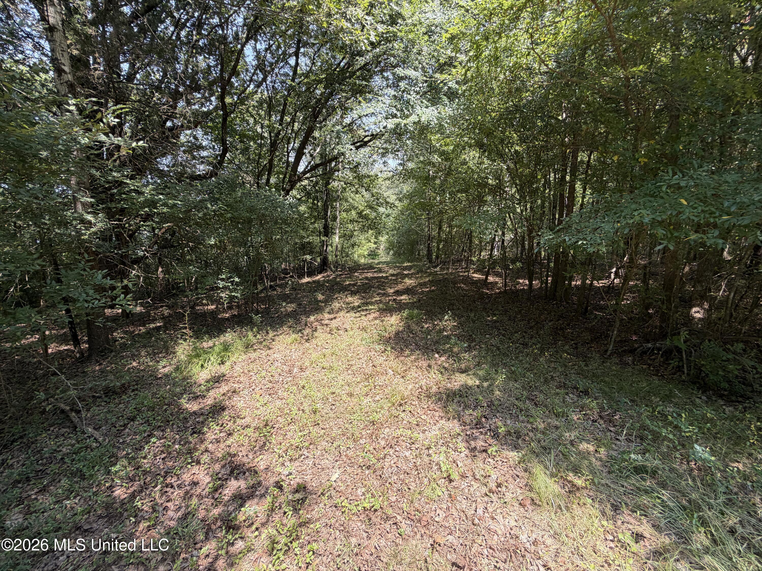 Wildwood Road Property Photo 46