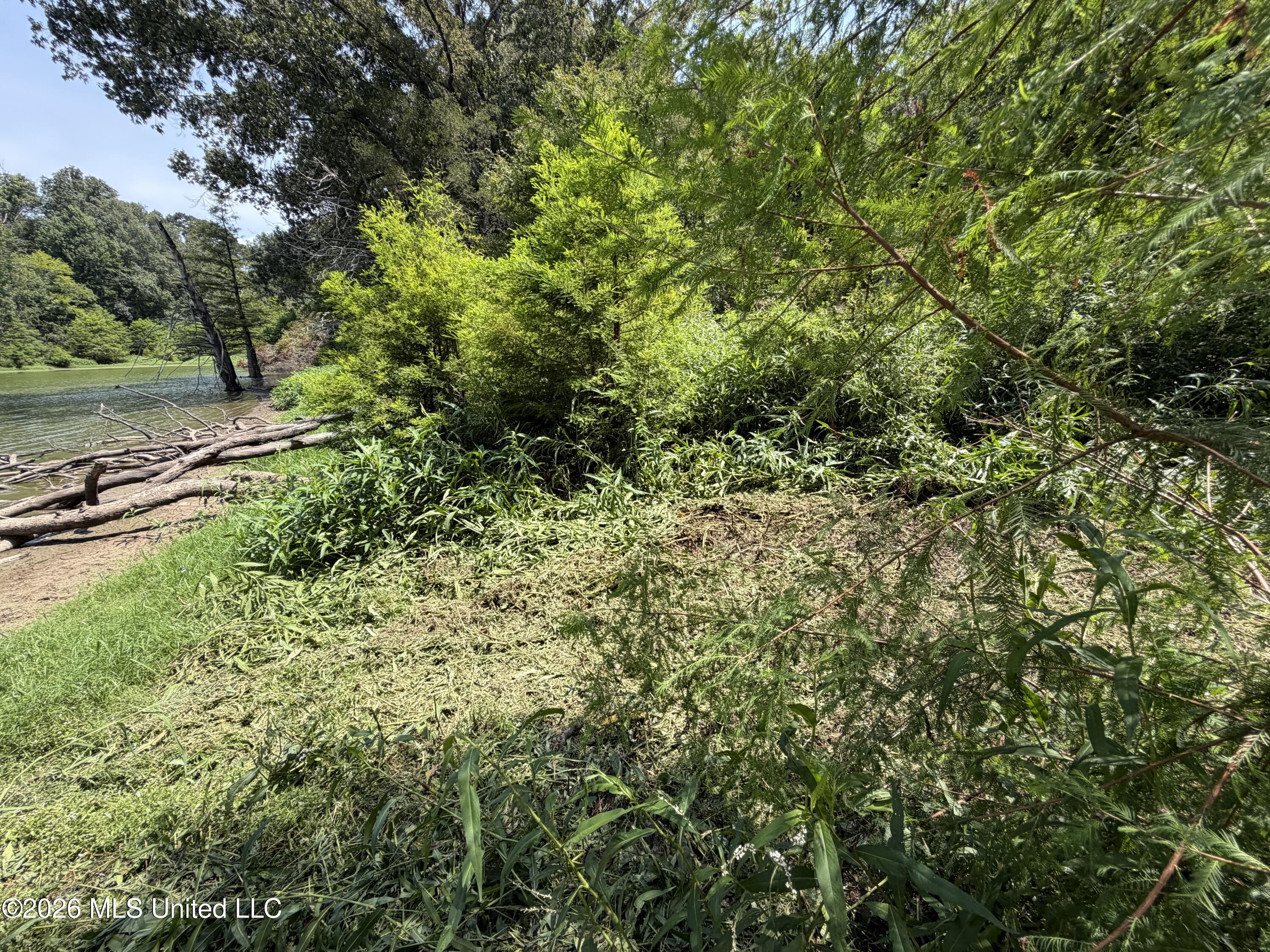 Wildwood Road Property Photo 47