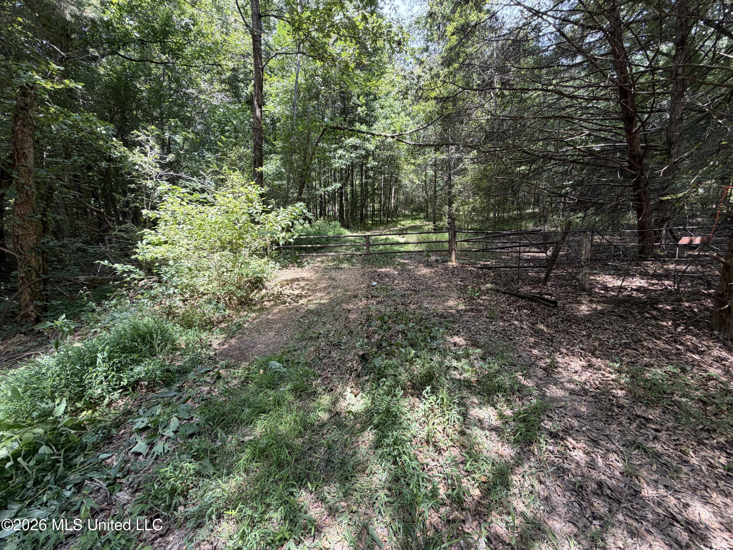 Wildwood Road Property Photo 51