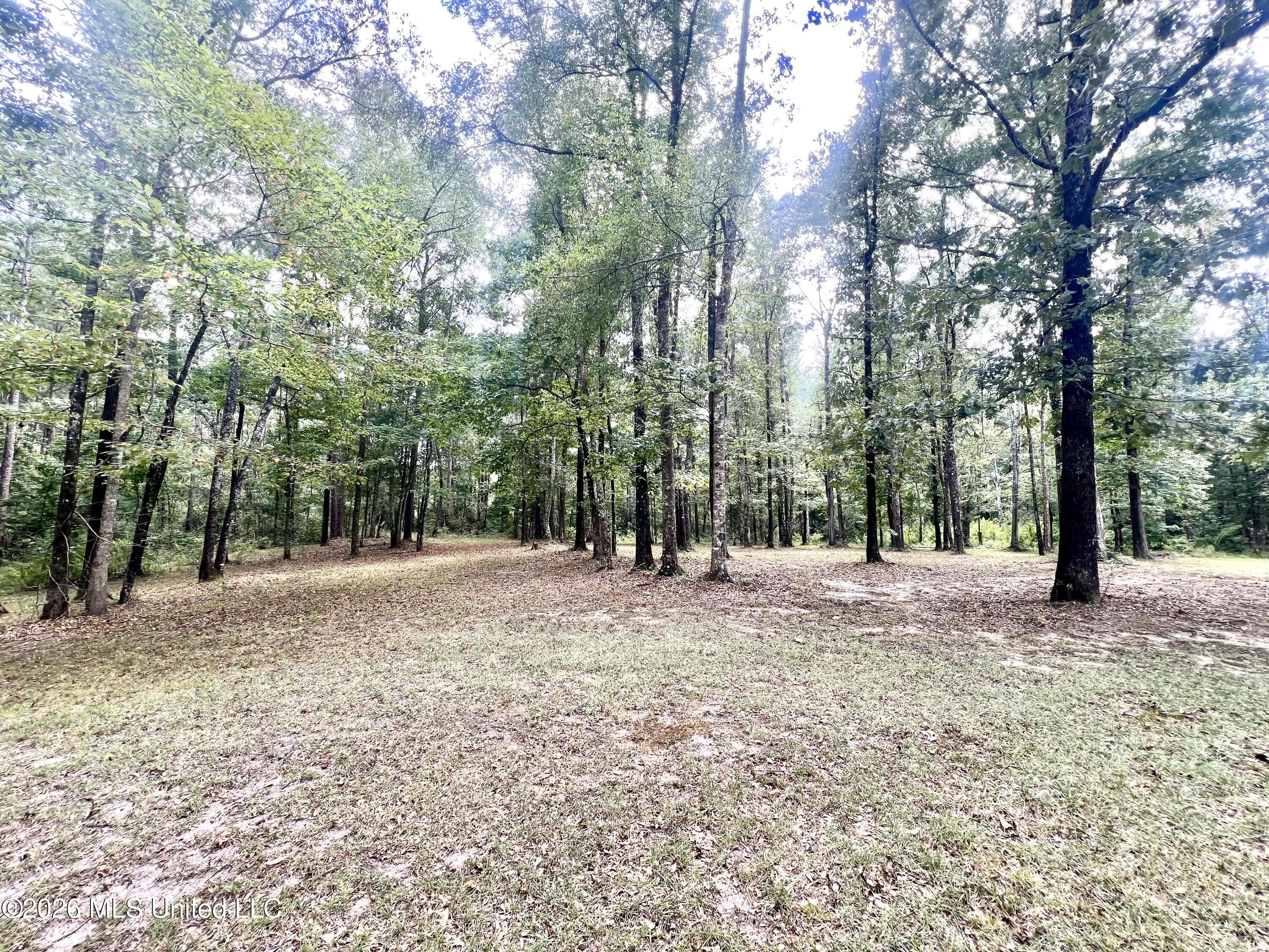 3486 Ms Hwy 24 Property Photo 11