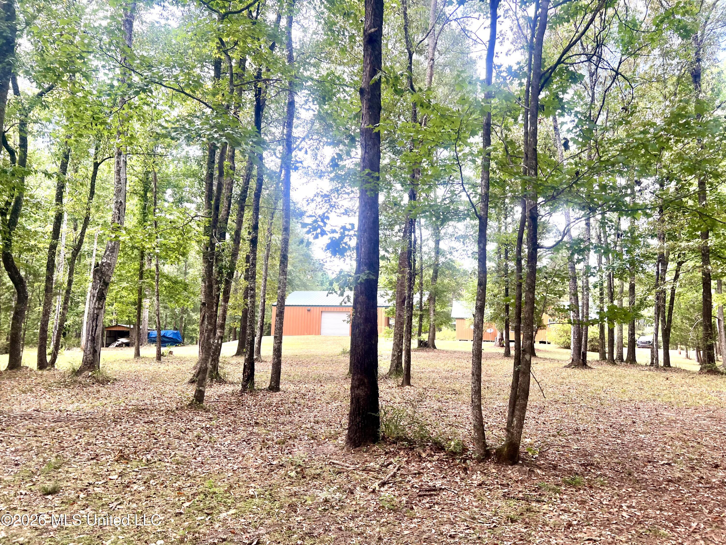 3486 Ms Hwy 24 Property Photo 13