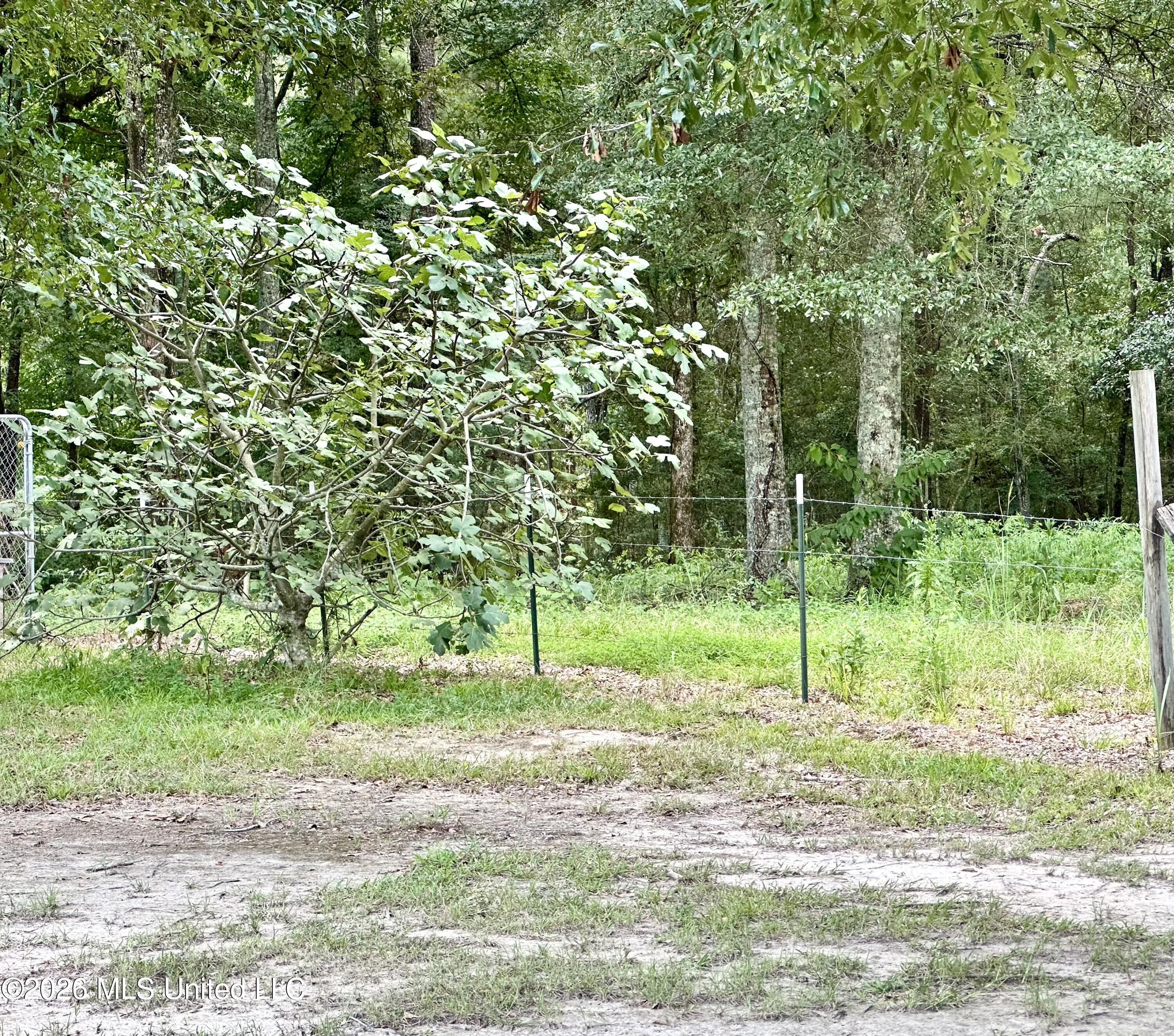 2698 Sw Shannon Drive Property Photo 27