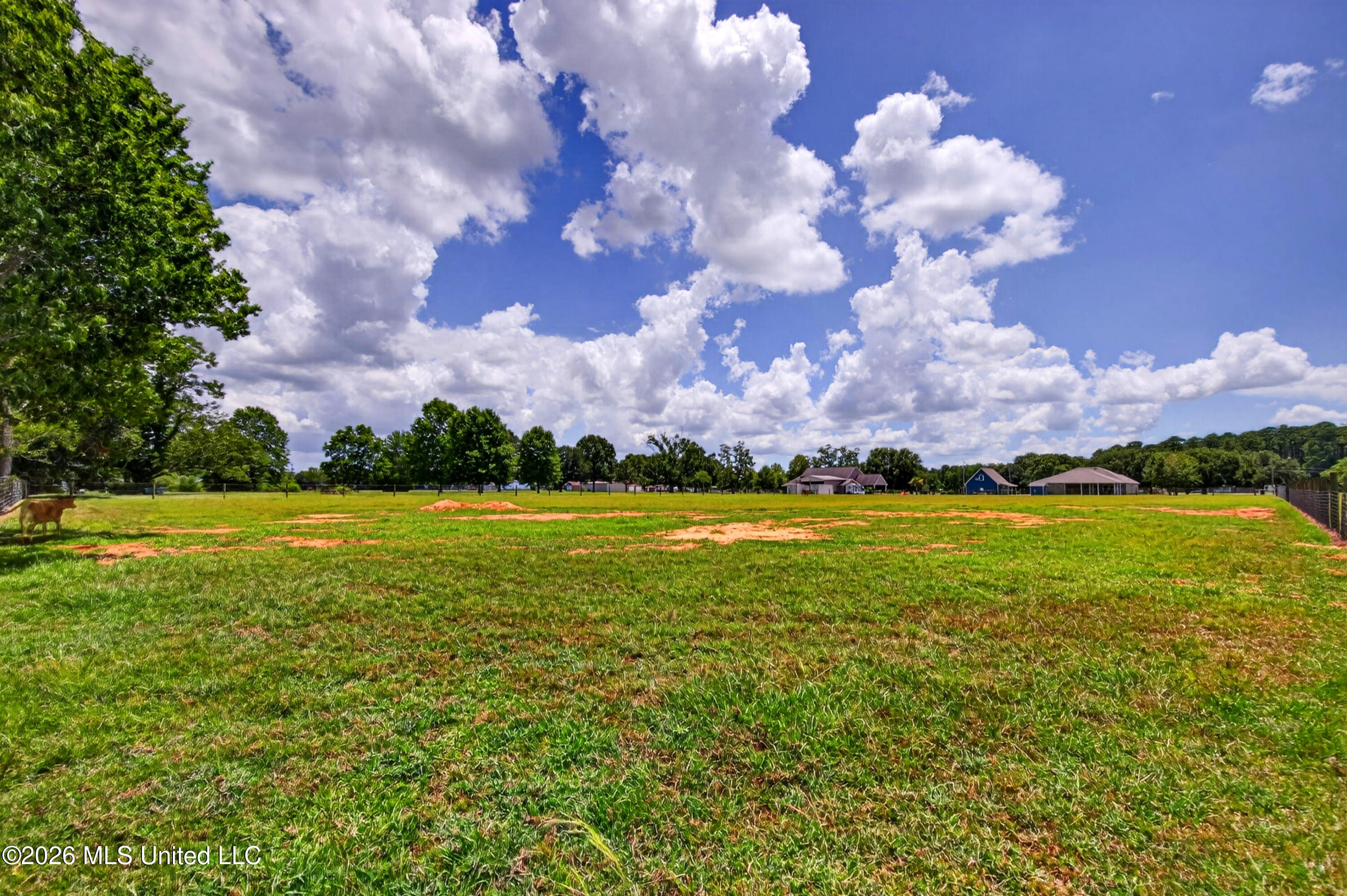 8101 Pecan Ridge Drive Property Photo 59