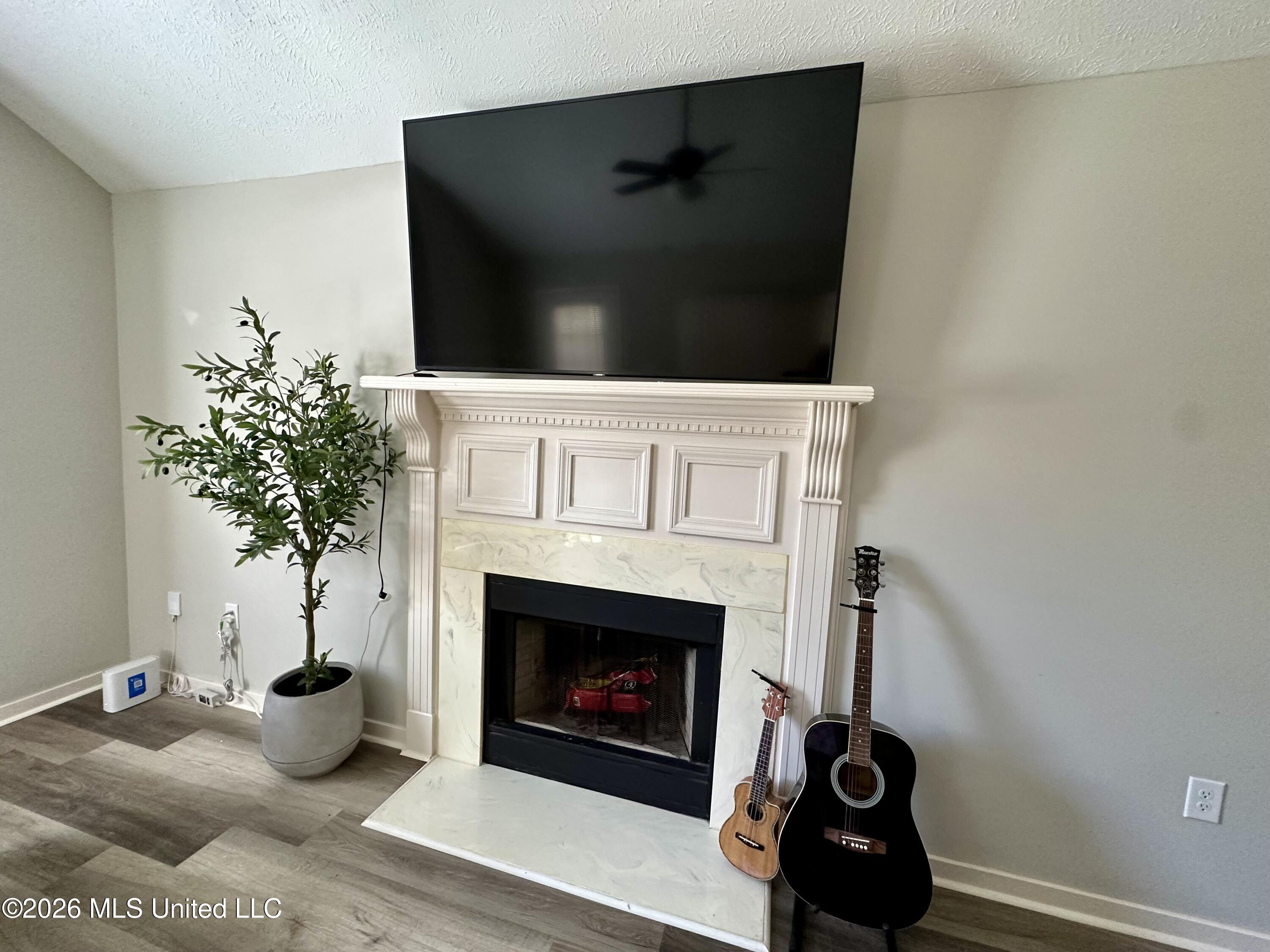 111 Barnett Bend Lane Property Photo 4