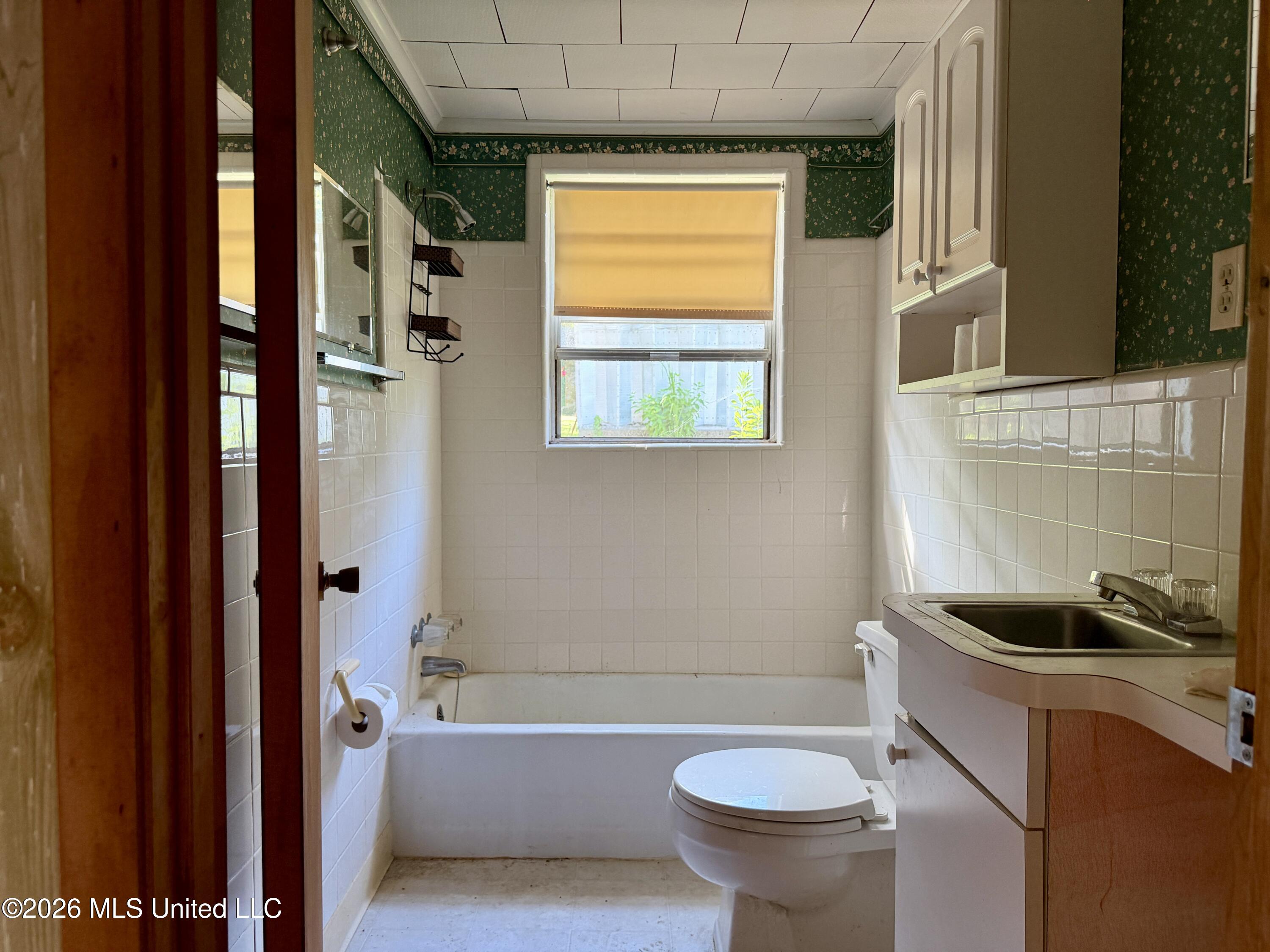 1385 Snow Lake Drive Property Photo 15
